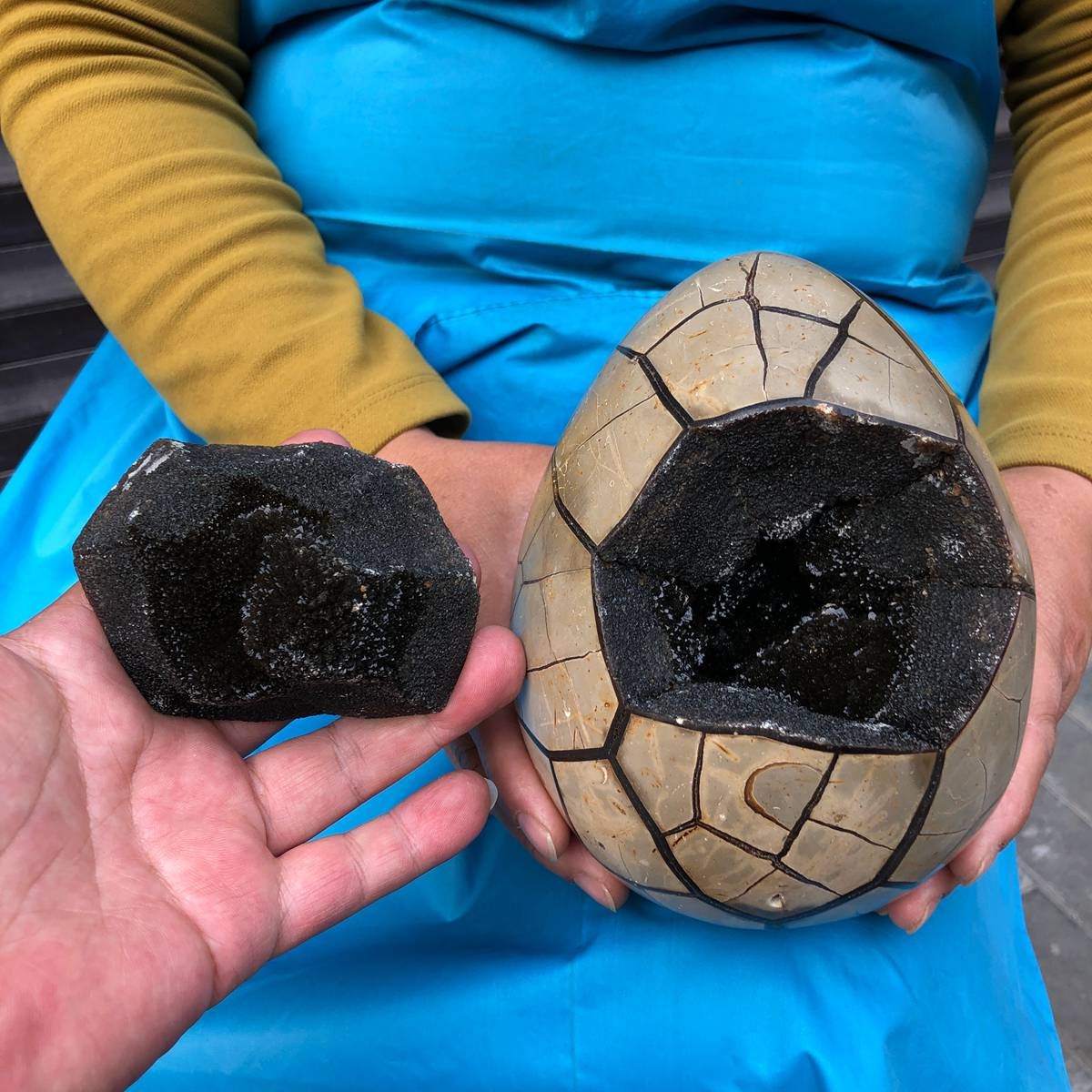3290G Natural Turtle Back Stone Dragon Crystal Cave Crack Gem Healing 4351