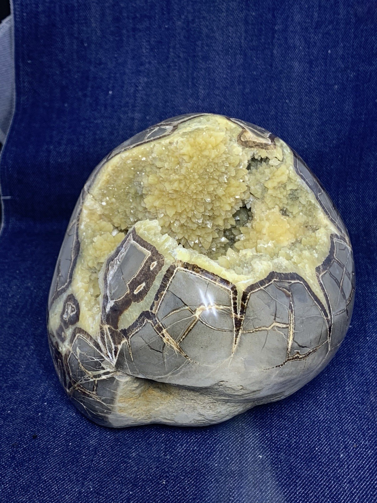 Septarian Nodule Hollow Free Form (Utah) Description Card