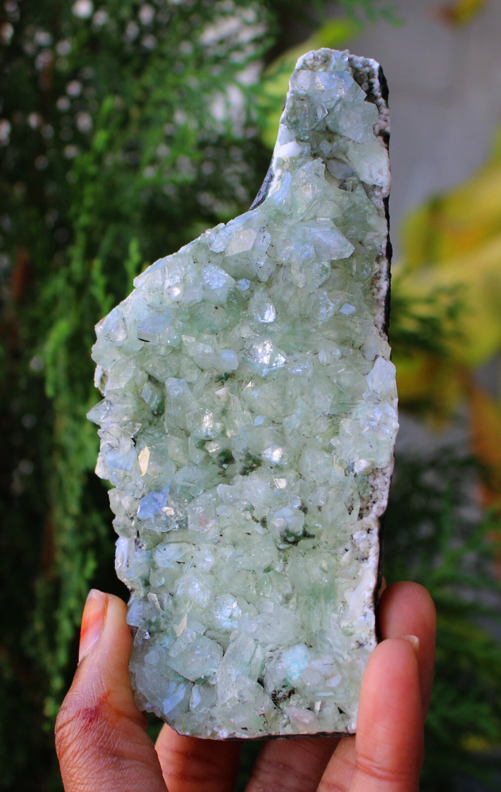 Green Apophyllite Crystals On Matrix Minerals Specimen #M3
