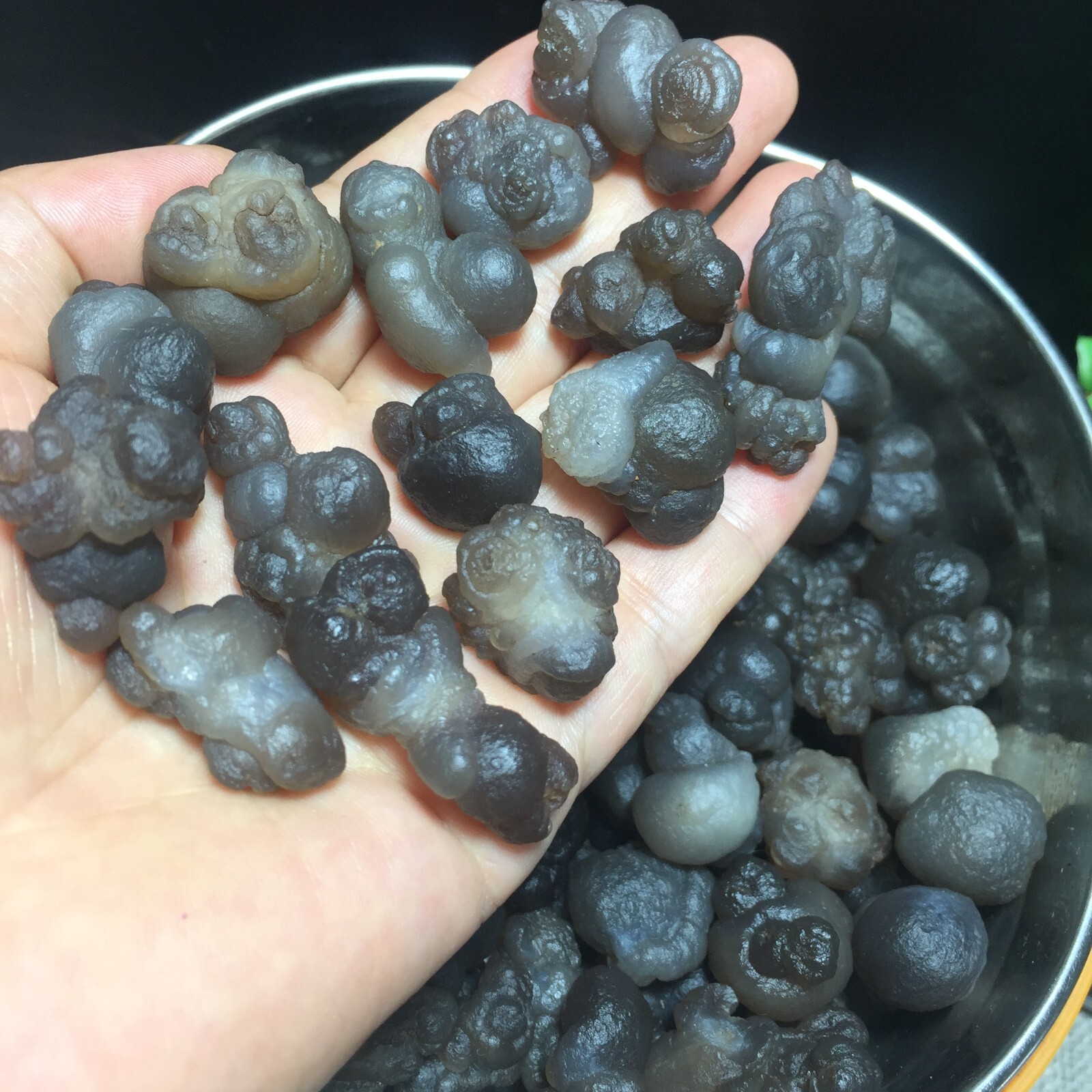 1000g 150pcs Bonsai Suiseki-Gobi Agate Eyes Stone-Rare Stunning Viewing