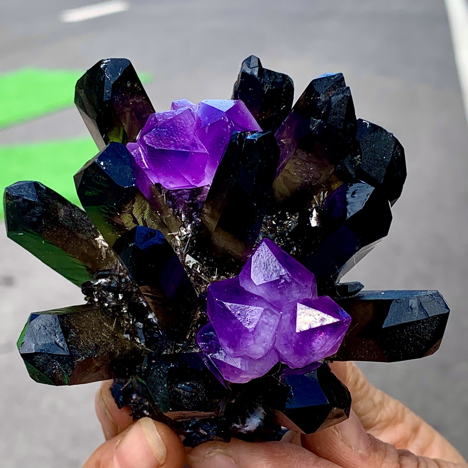 268G New Find black+purple Phantom Quartz Crystal Cluster Mineral Specimen