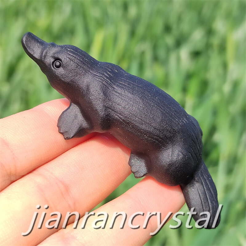 3″ Natural Obsidian Platypus Skull Quartz Skull Carved Crystal Skull Gift 1pc