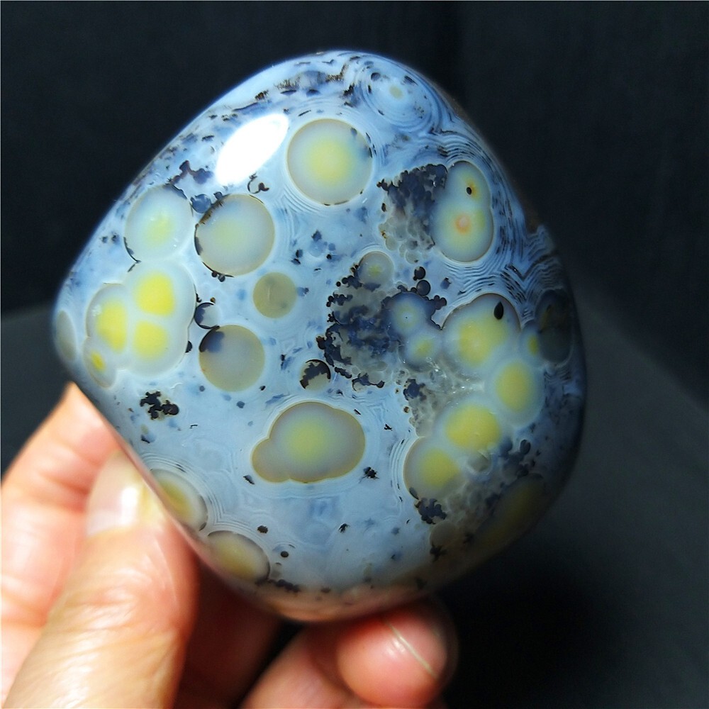 TOP 273G Natural Polished Aquatic Plants Agate Stone Madagascar Ca490