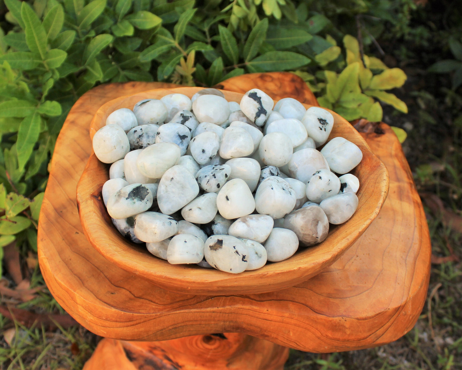 1/4 lb Bulk Lot Rainbow Moonstone Tumbled Stone Crystal Healing Energy (4 oz)