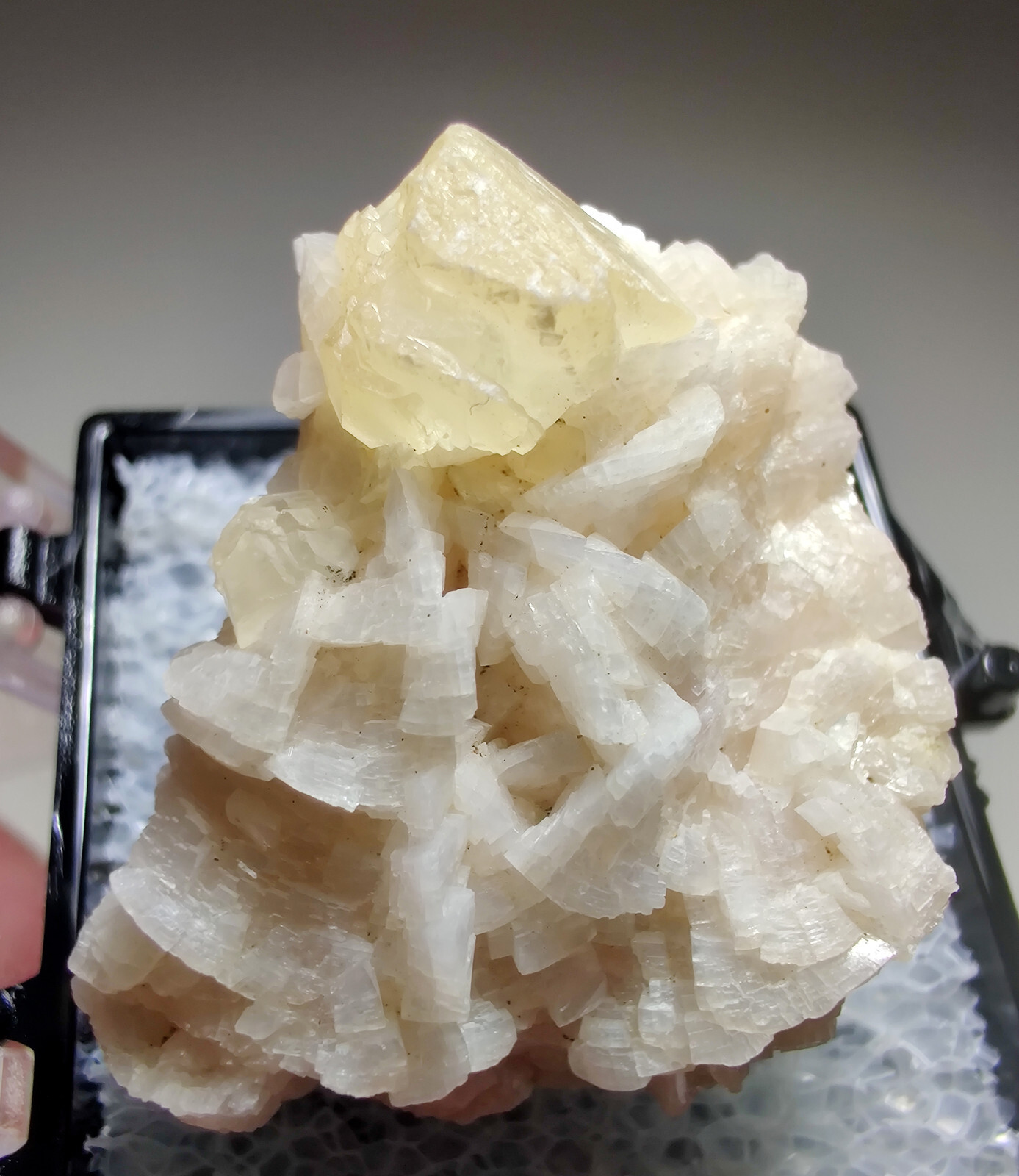Calcite crystal atop Dolomite. Corydon Quarry, Indiana. 3 cm.