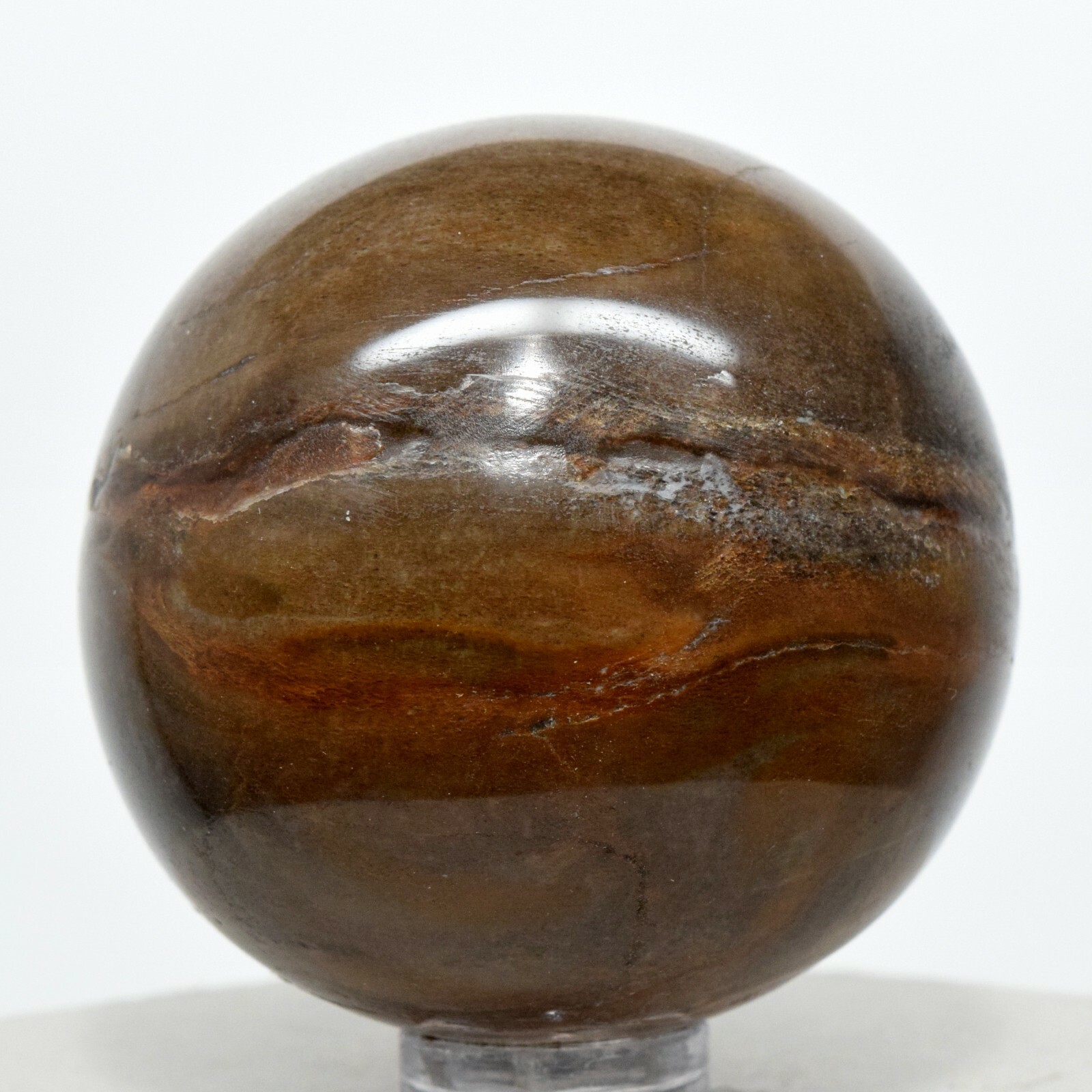 48mm Brown Petrified Wood Sphere Natural Fossilized Tree Mineral Ball Madagascar