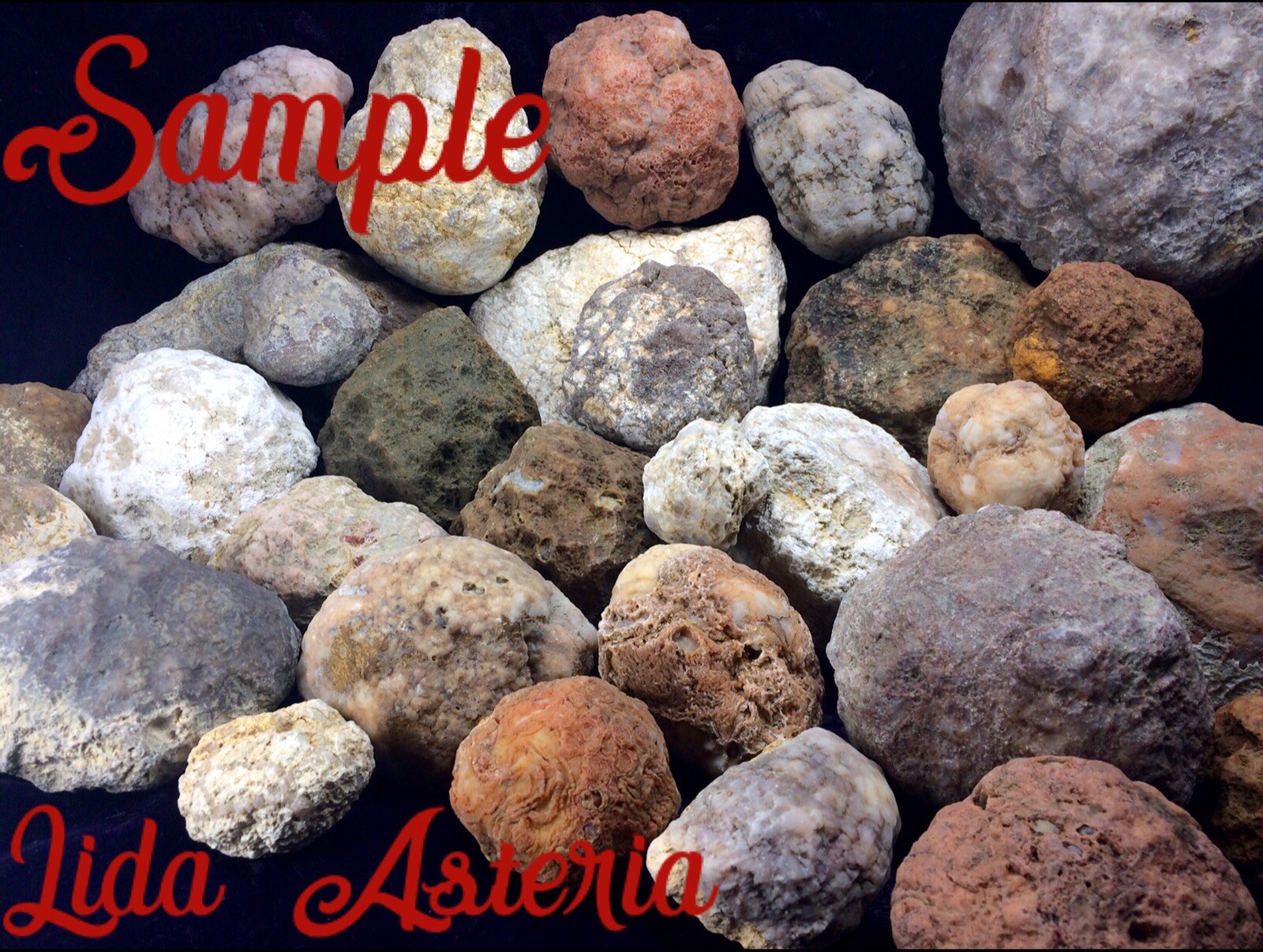 8-10Lbs Break Your Own Geodes Unopened Natural Crystals Kentucky Variety Lot