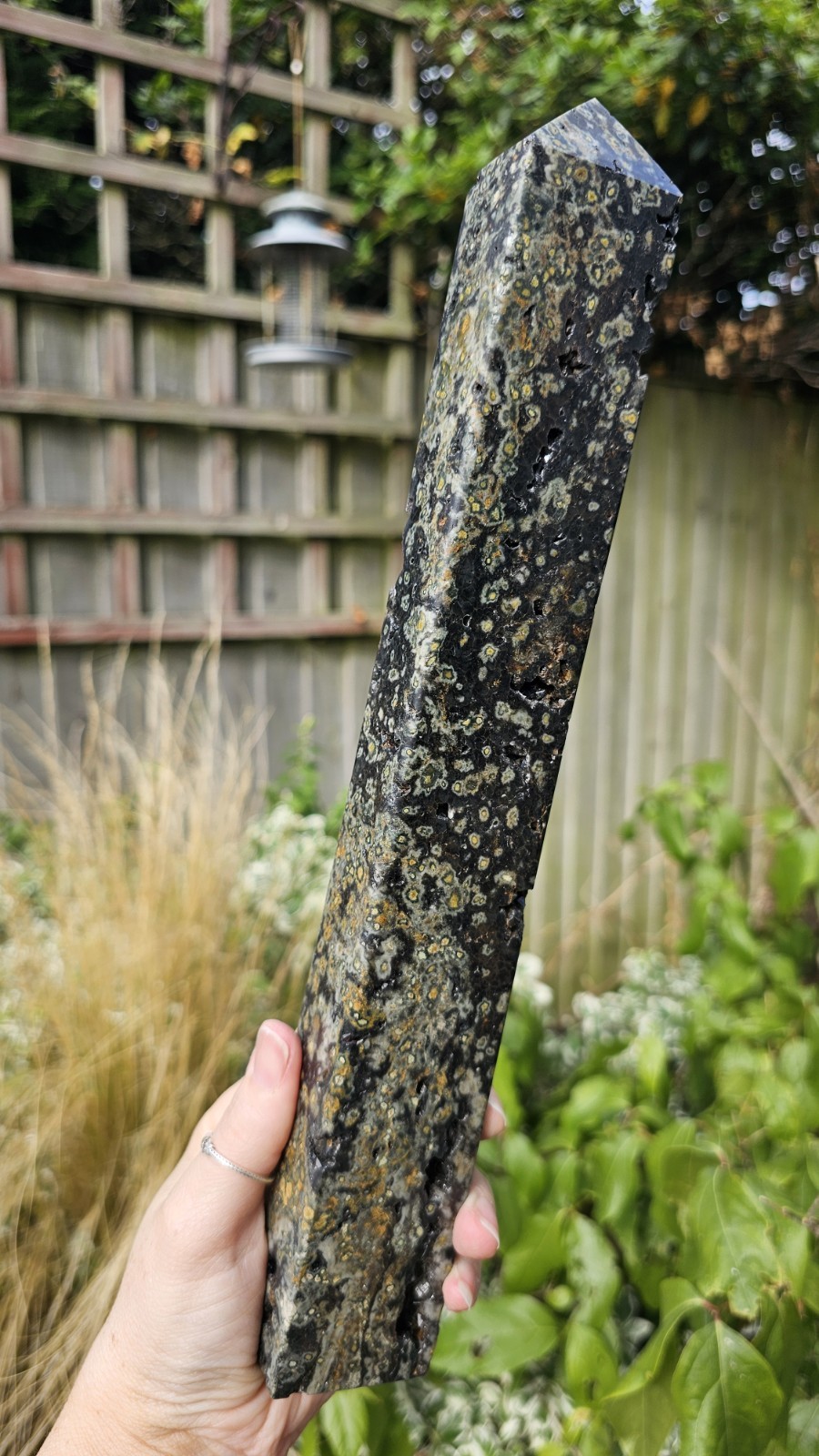 Large Rainforest Jasper Rhyolite tower Point Stone crystal Calming 1.02kg 31cm