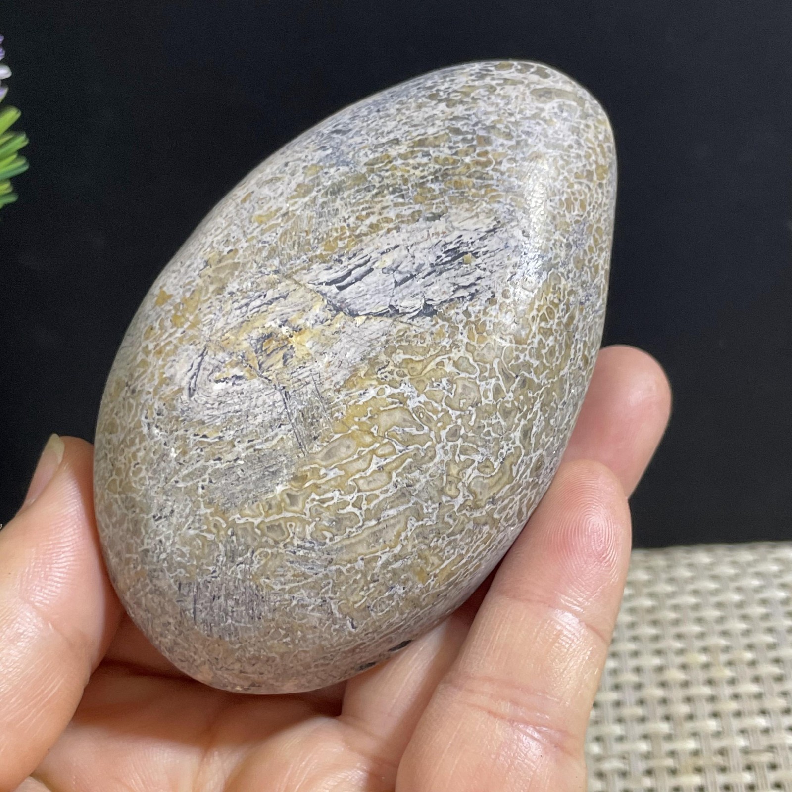 157g Handcrafted polishing of natural dinosaur skeletal fossils in Madagascar