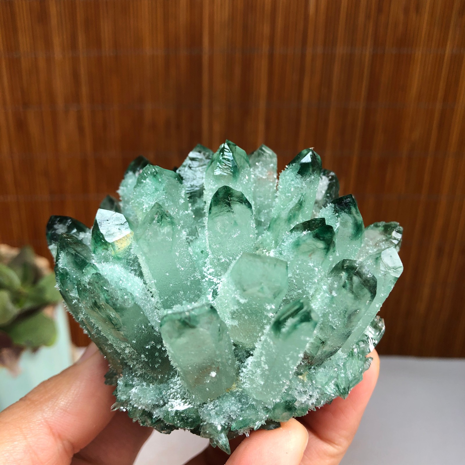 New Find Green Phantom Quartz Crystal Cluster Mineral Specimen 224g A1491