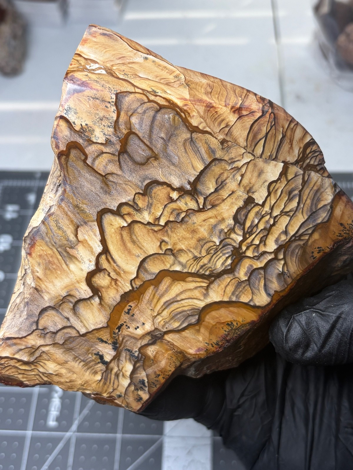 Rare Blue Biggs Picture Jasper Faced Polished Specimen AAA Quality Mountains