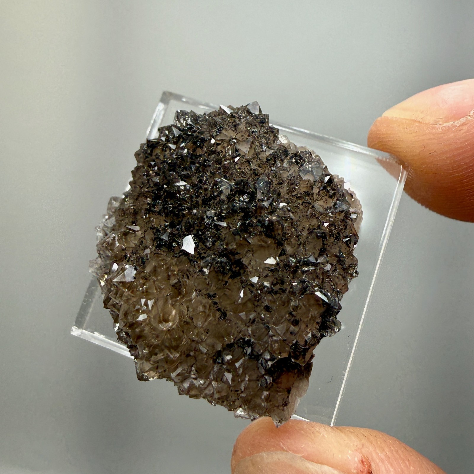 Herkimer Diamond Black + Gray Druze, Gemmy Points w/ Hydrocarbon, Rare Matrix