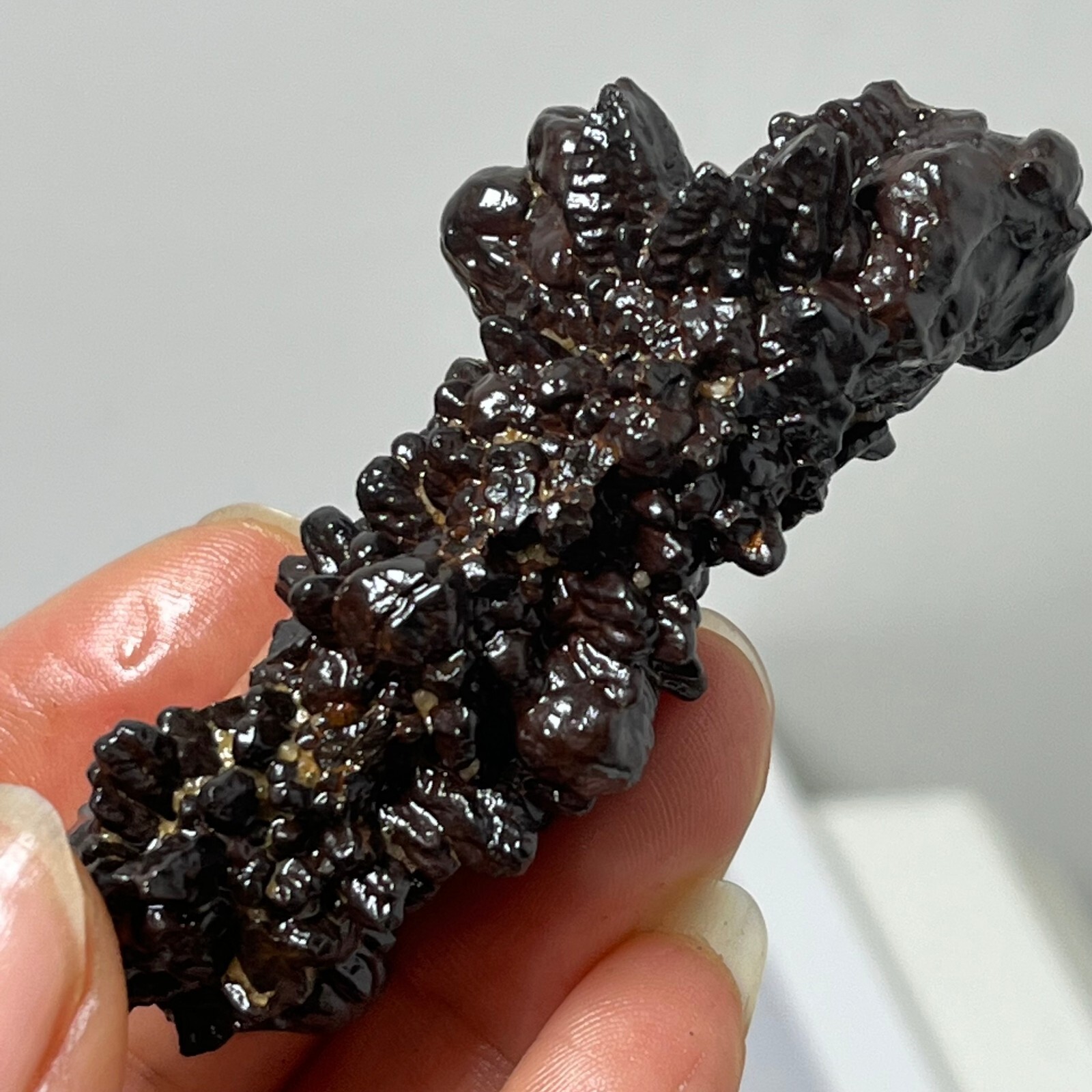 98g Limonite & Hematite pseudomorph after Marcasite – Prophecy Stone d24