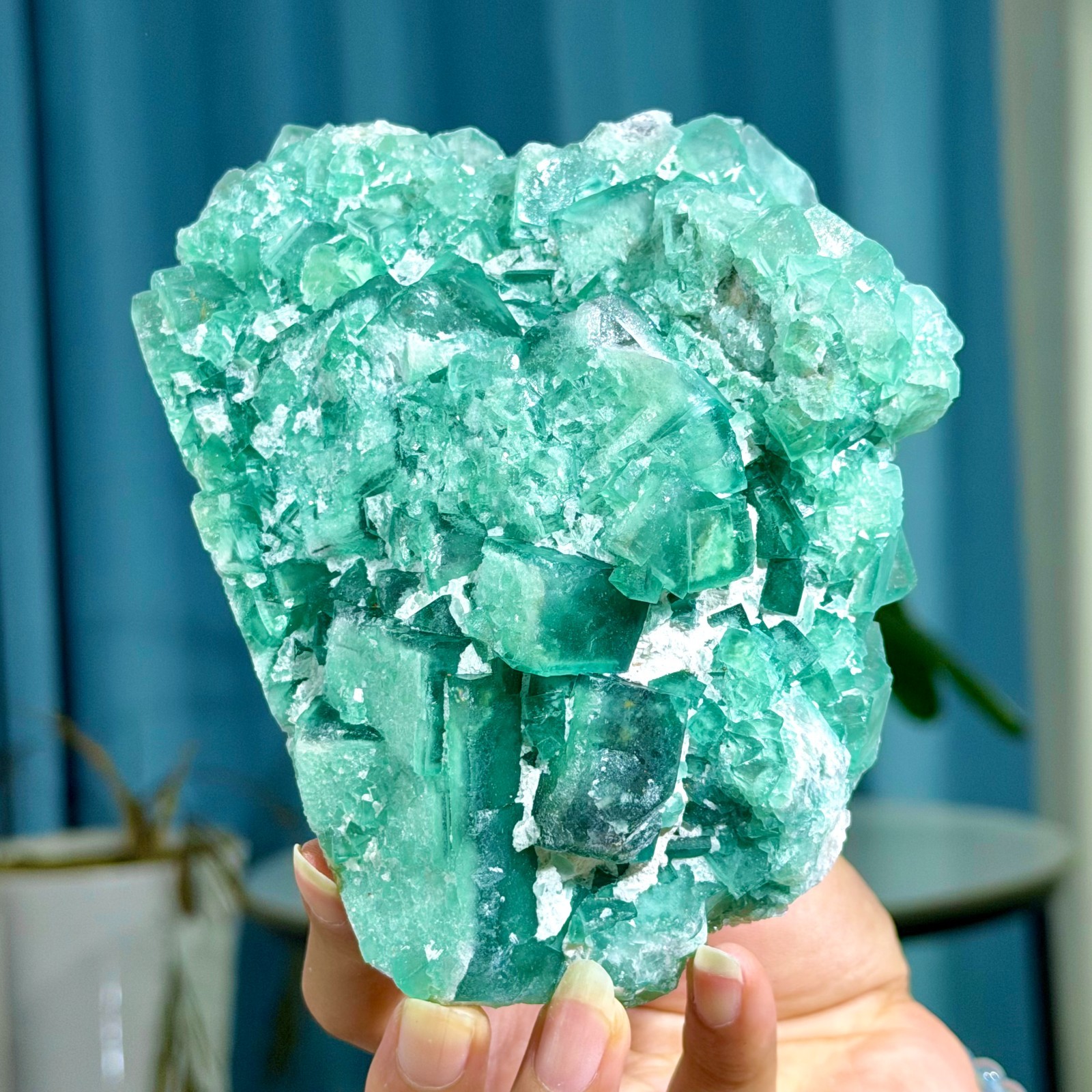 2.22LB Rare transparent green cubic fluorite mineral crystal sample/China