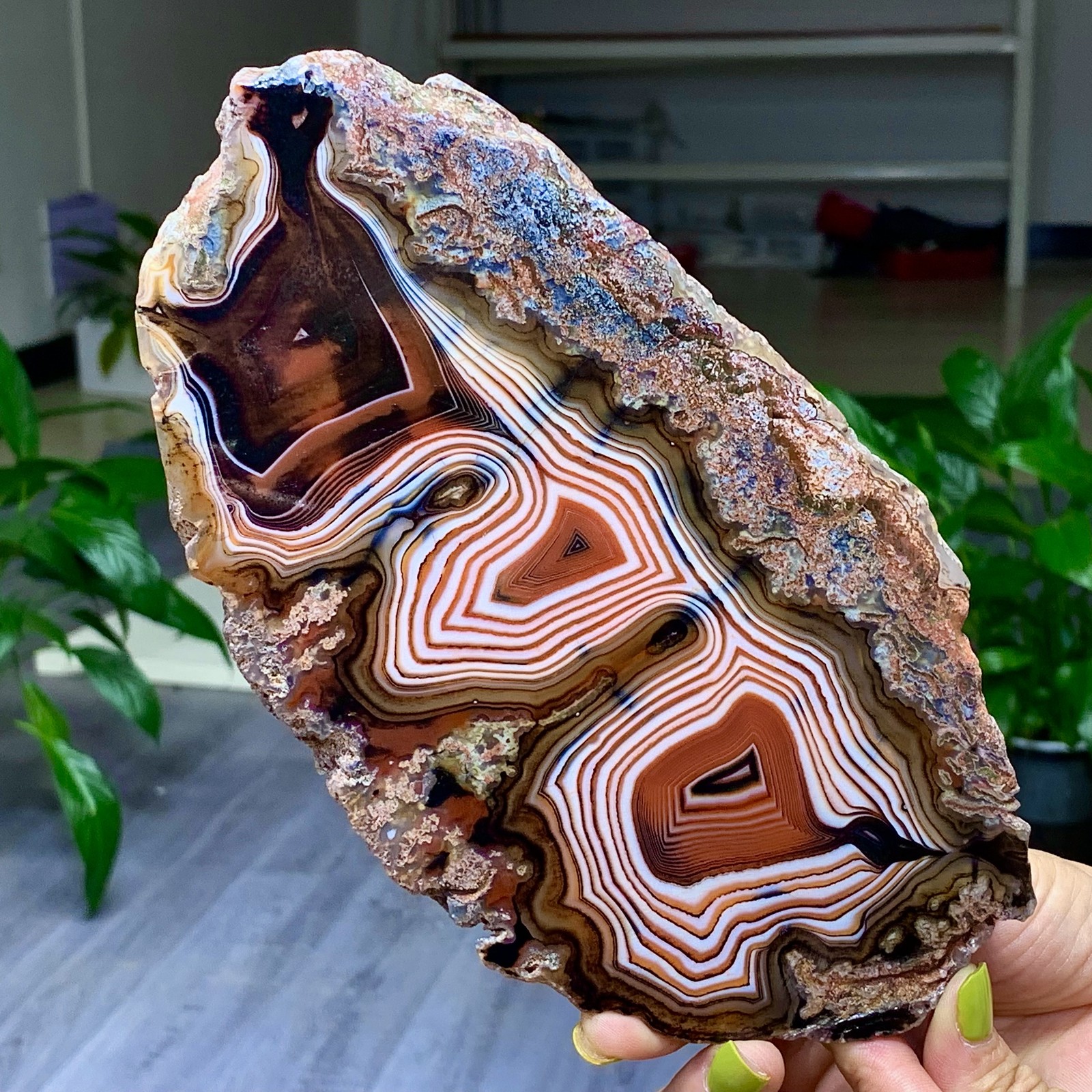 1.39LB NaturalRedStripeAgateSliceQuartzCrystal Hand-cut Slab Ore SpecimenHealing
