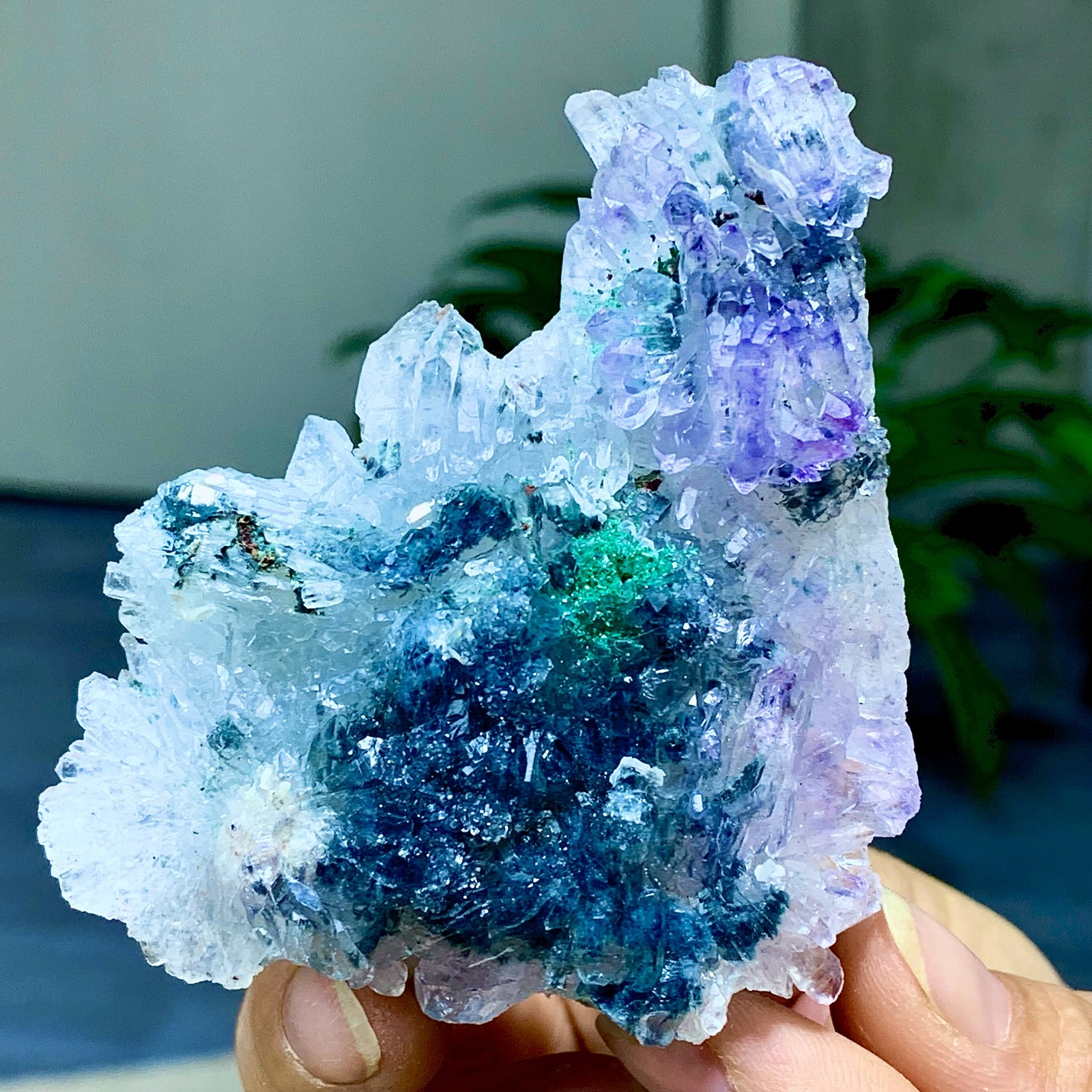 81G Natural Vision Amethyst quartz cluster crystal druzy mineral specimen