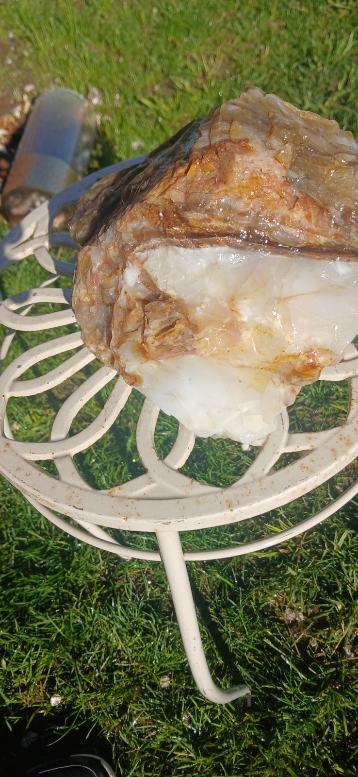 Rare Natural petrified wood, Opal, mineral specimen. Gorgeous Yard Art
