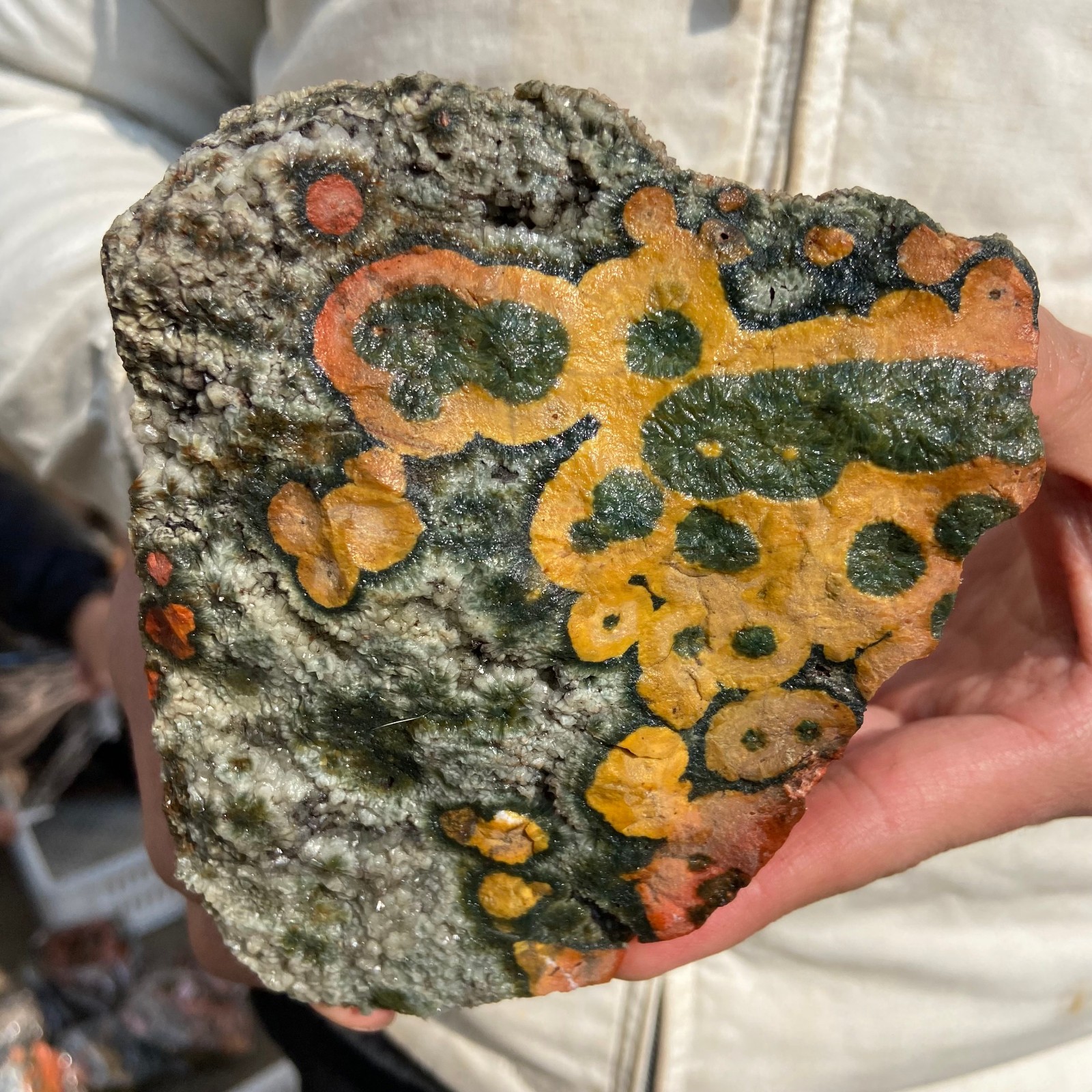 2.5lb Natural colourful ocean jasper raw stone crystal rough mineral specimen