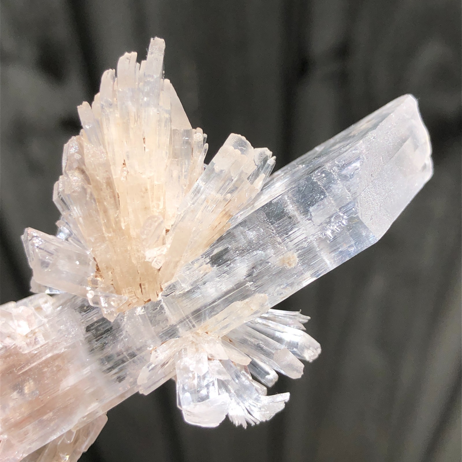 7.5cm Gemmy Gypsum Selenite Crystal Cluster from Angervilliers quarry, France