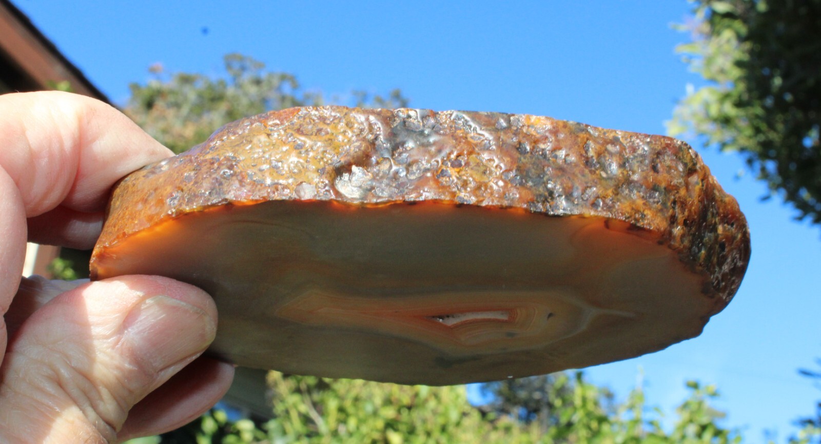 Natural 5” Geode Slice Amber Orange Brown Tones Agate 3/4” Thick-401 grams