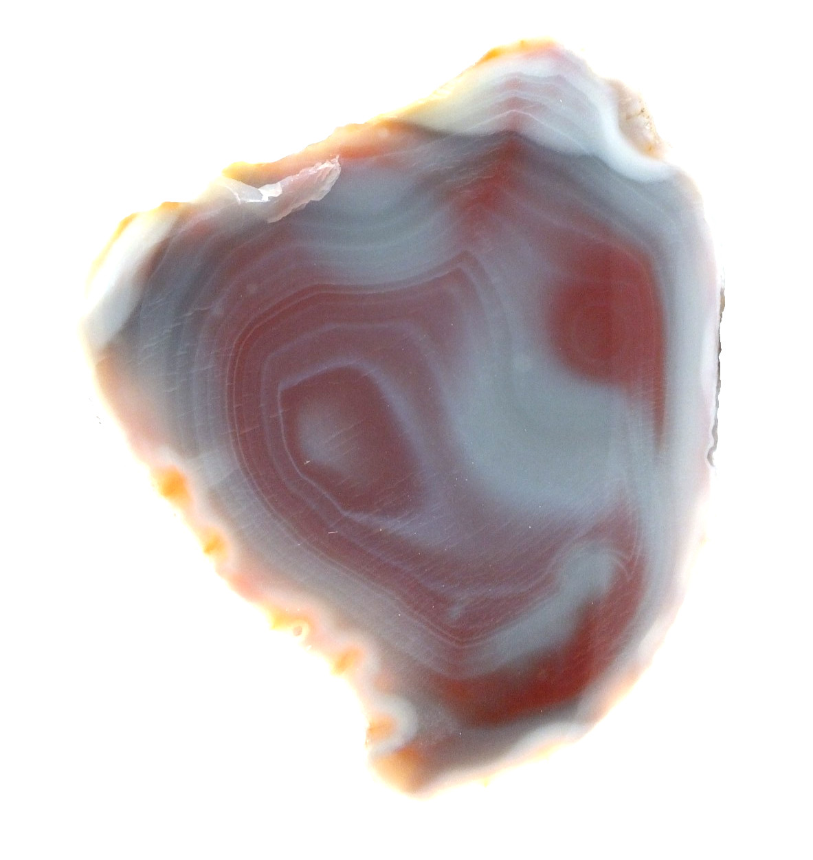 Agate fully polished Agate Half from Agate Creek Queensland Australia (ea10369)
