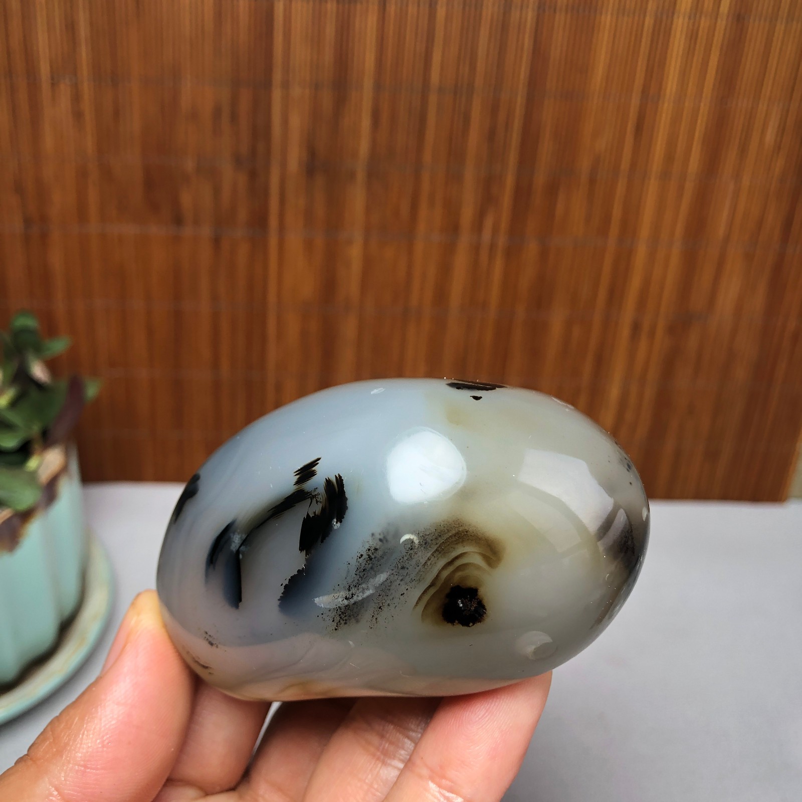 72mm Natural aquatic plants agate pretty Crystal specimens 167g A9995
