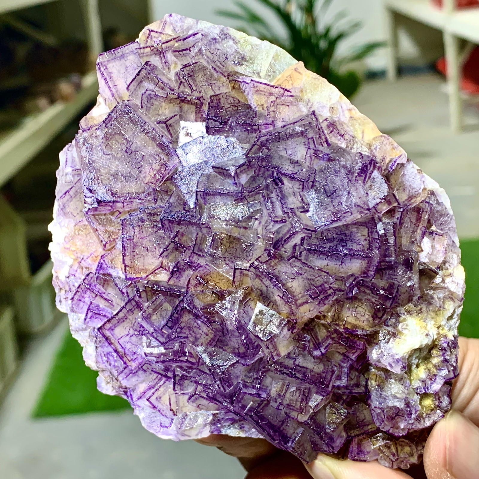 443G Inner Mongolia Natural Fluorite Purple Edged Cube Crystal Mineral Specimen