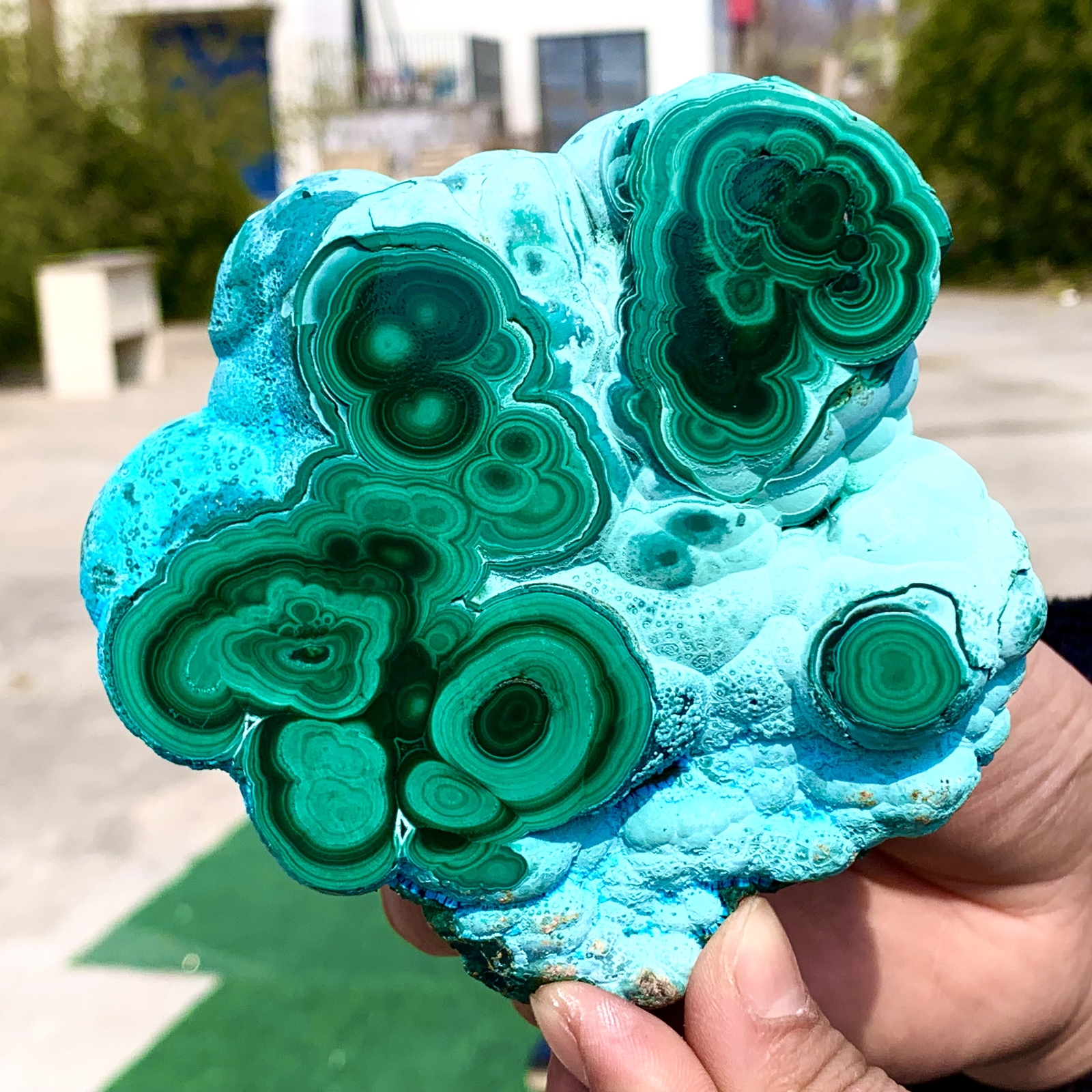 1.92LB Natural Chrysocolla/Malachite transparent cluster rough mineral sample