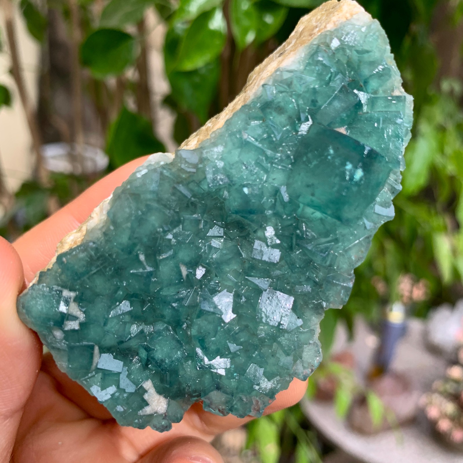 133g NATURAL Green Cube FLUORITE Quartz Crystal Cluster Mineral Specimen