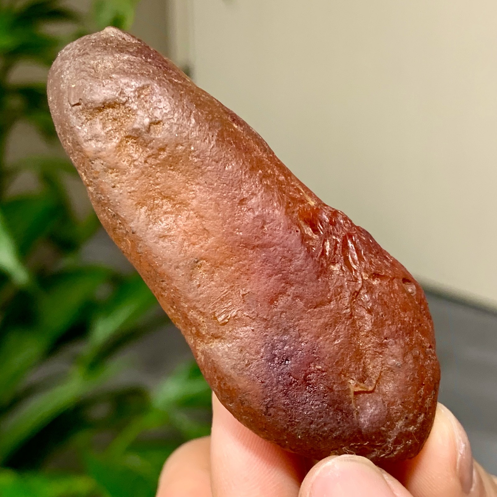 42G Natural Amber With Insect 100 Million Years Old Burmite mineral sample
