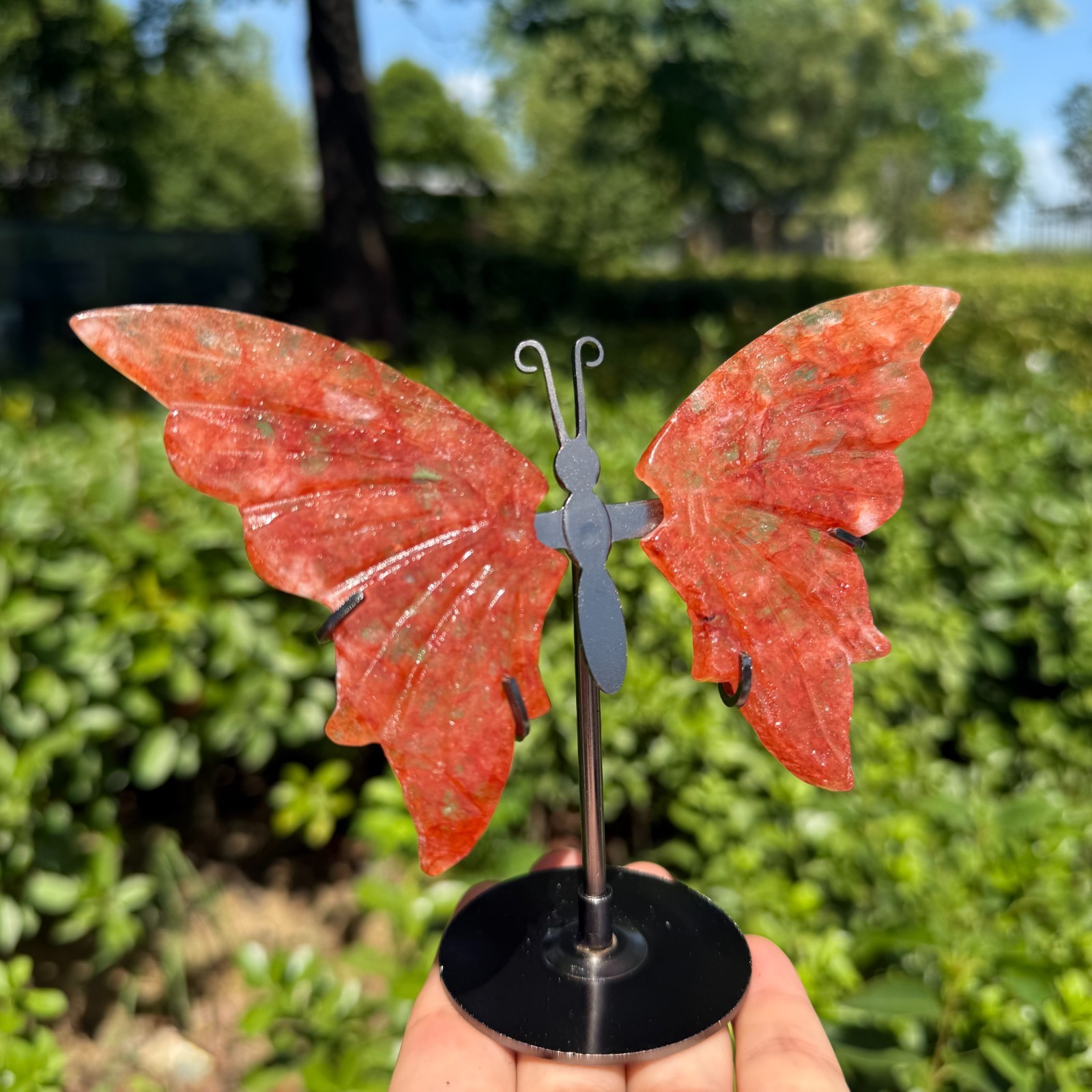 5.2” A pair Natural red gum flower Butterfly Wing Reiki Crystal Skull Decor