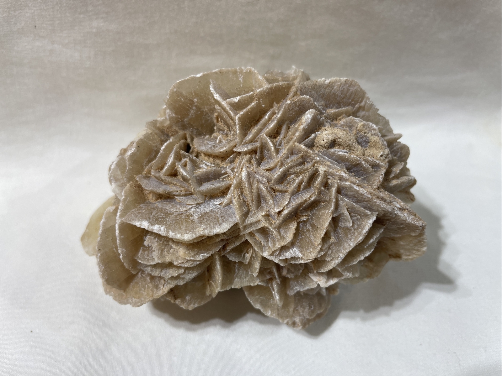 Selenite Desert Rose Crystal Cluster 9 oz. 3 1/2 Inches