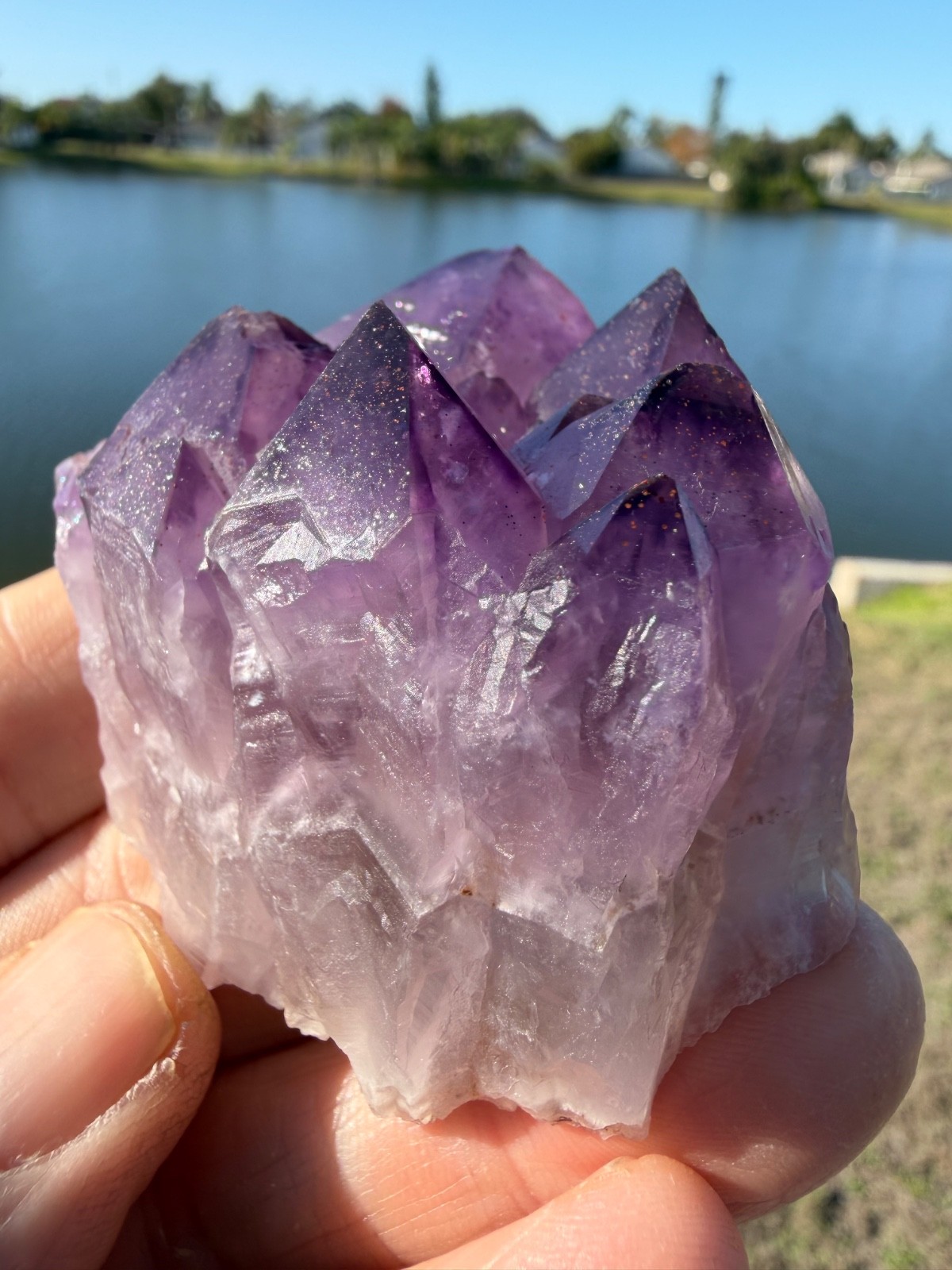 Rare Auralite 23 Crystal Multi Cluster Point from Canada 114 grams 2″