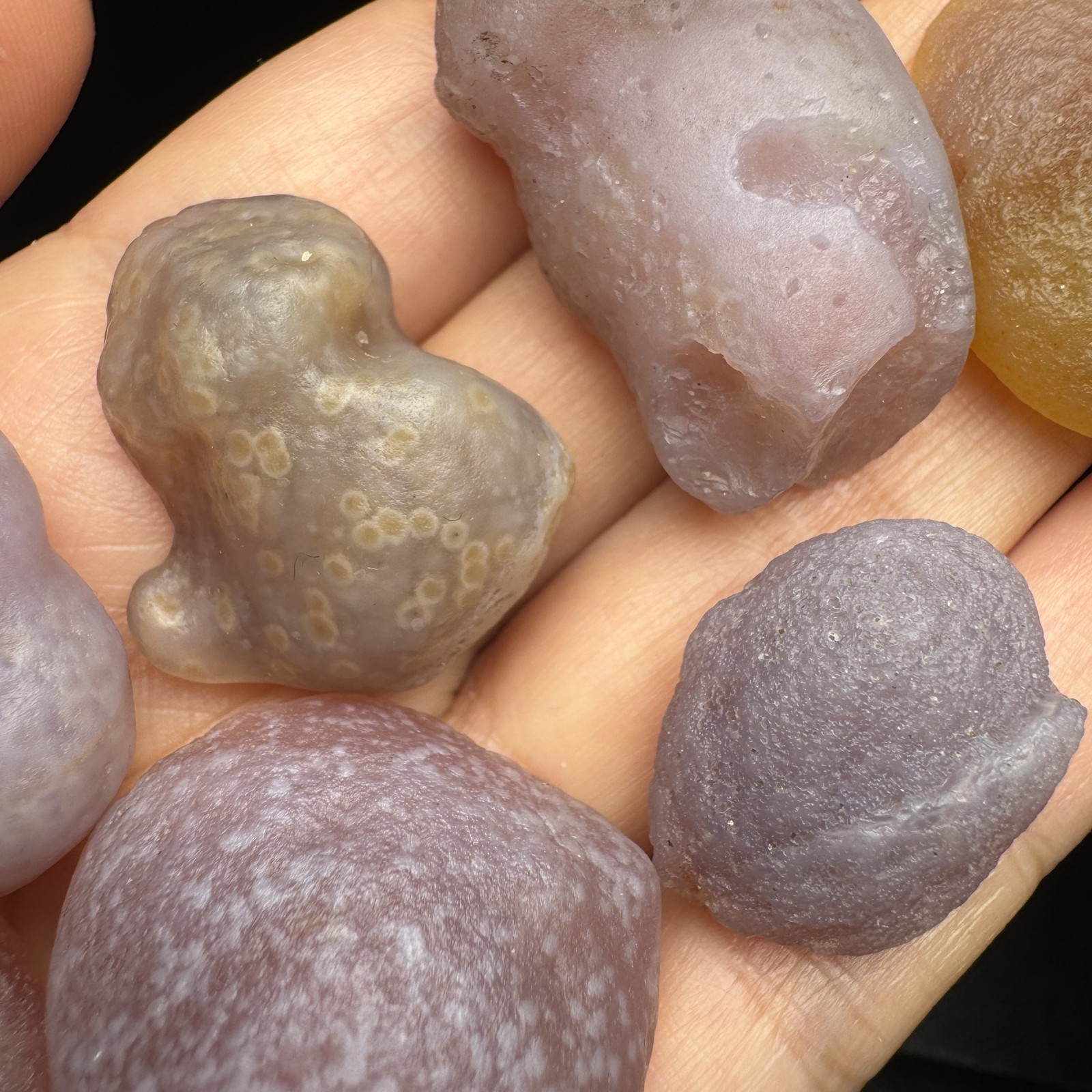 9pcs 86G Selected Natural Alxa Gobi Candy Agate Set #6633