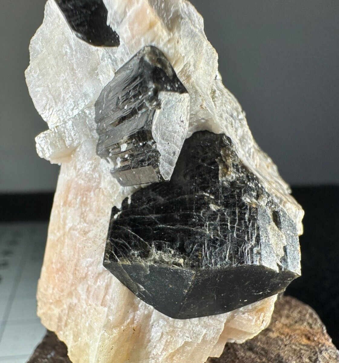 ➤2-3/4″ EDENITE CRYSTALS in CALCITE – Wilberforce Ontario Canada VIDEO➤598