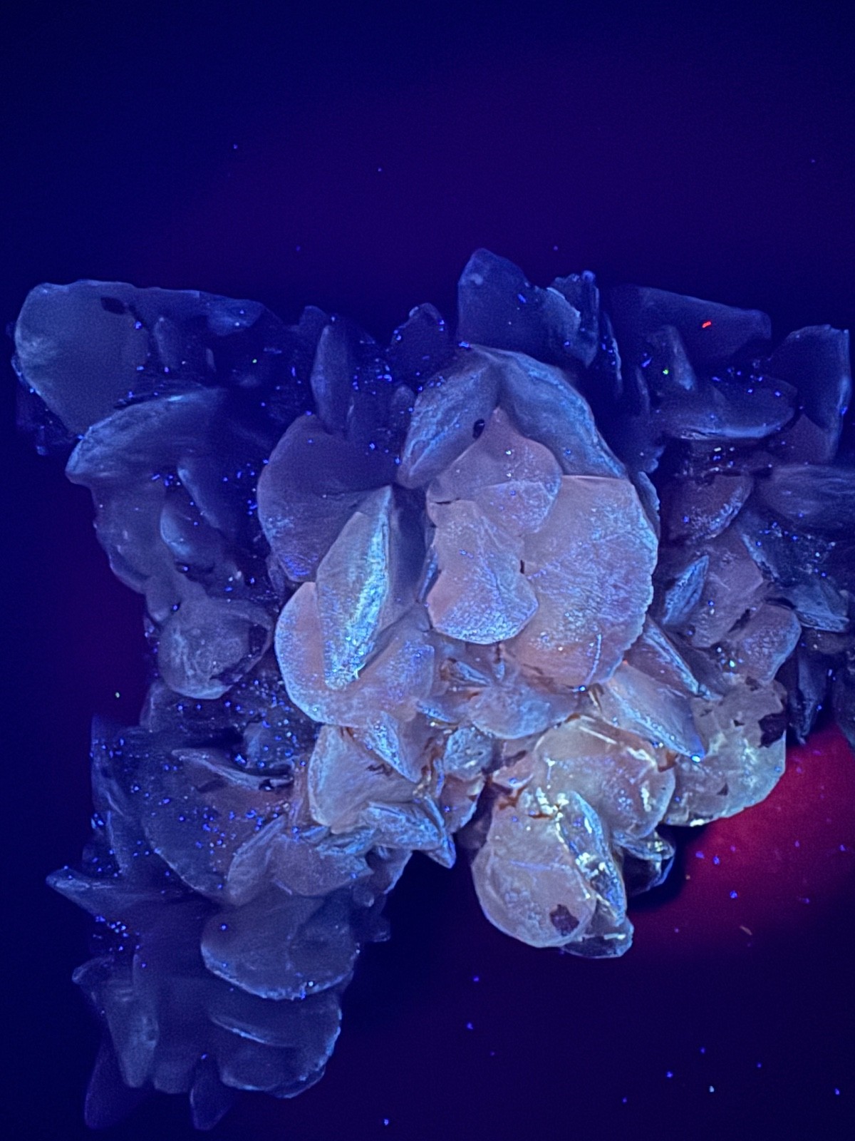 6642 Double Sided Shell Calcite Formation Fu Jian 175g