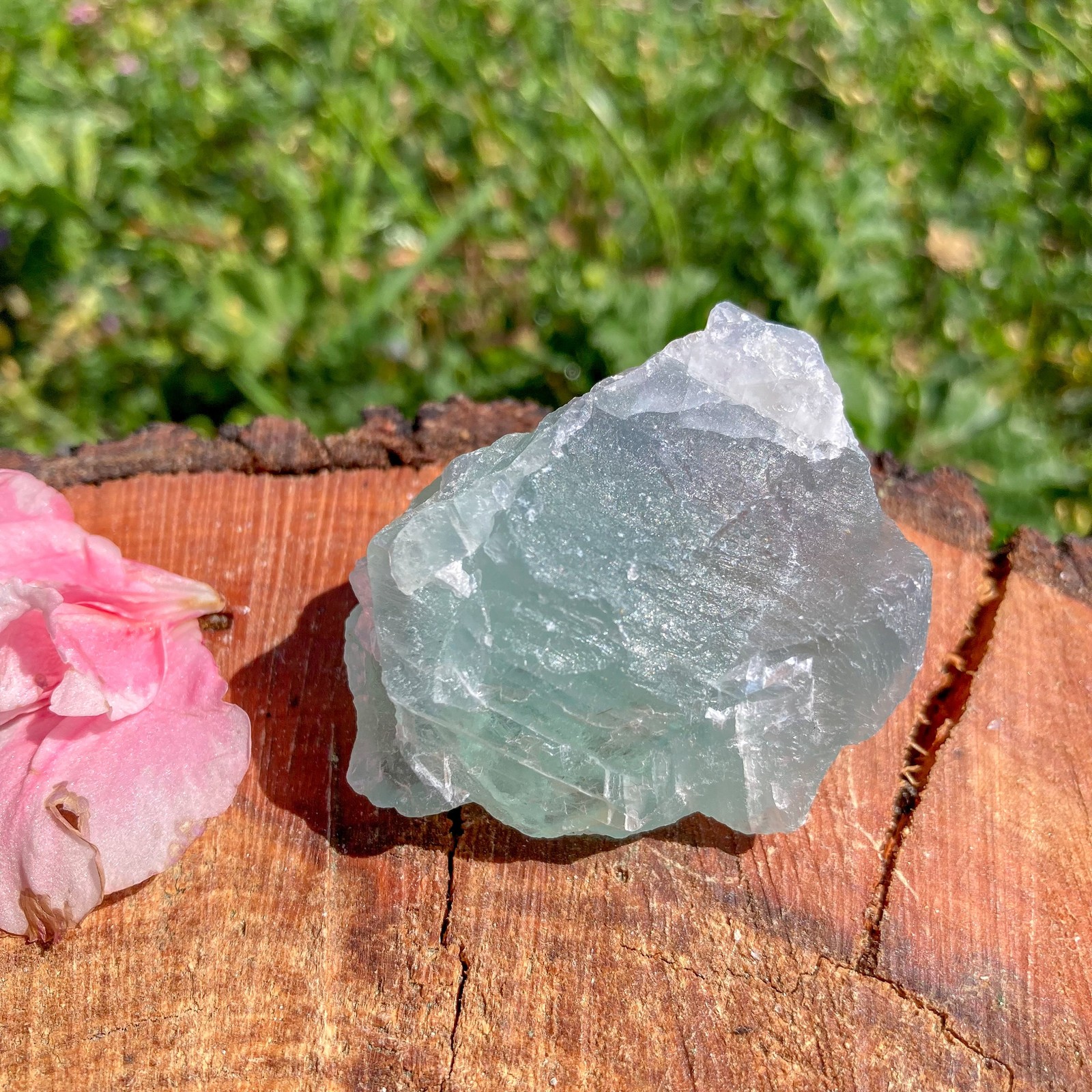 Rough Green Fluorite Crystal / Grounding / Psychic / Cleansing / Healing