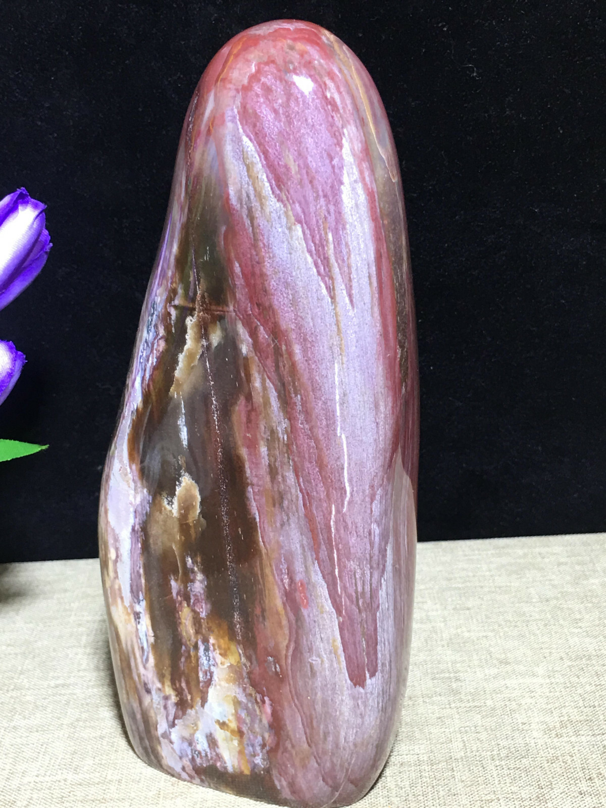 172mm Ocean Stone Polished Petrified stone stone original specimen decor 937g
