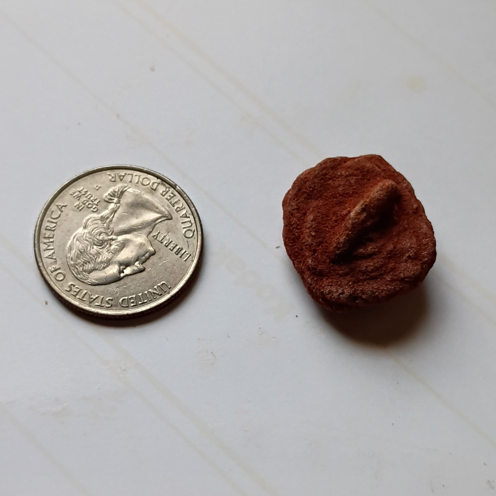 Oklahoma Rose Rock (Small)