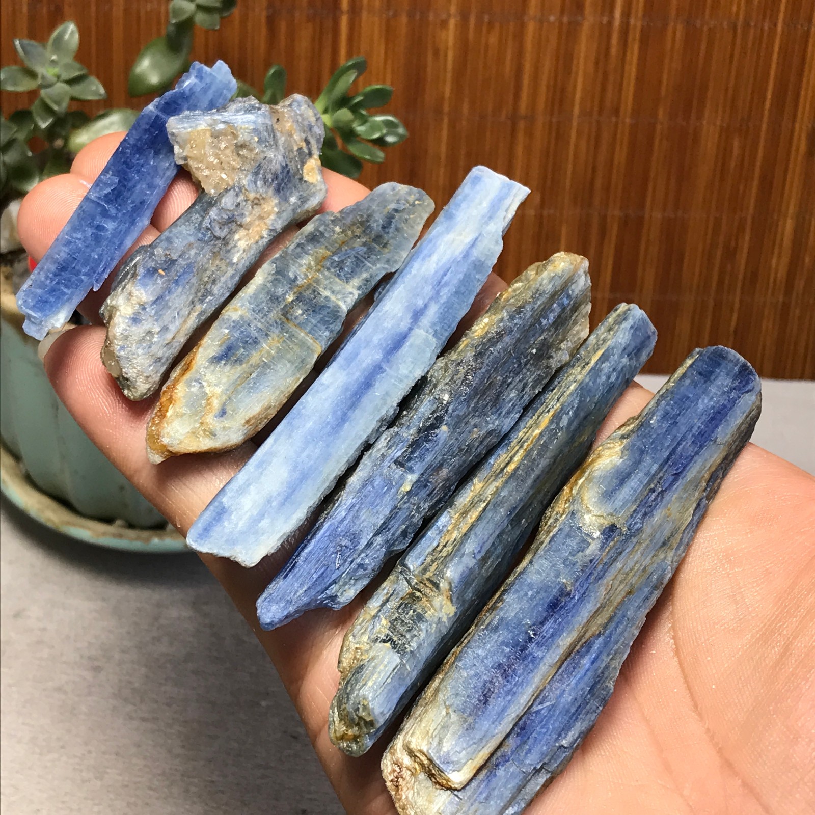 7Pcs NATURAL Blue Kyanite gemstone crystal rough mineral Specimen 155g A6924