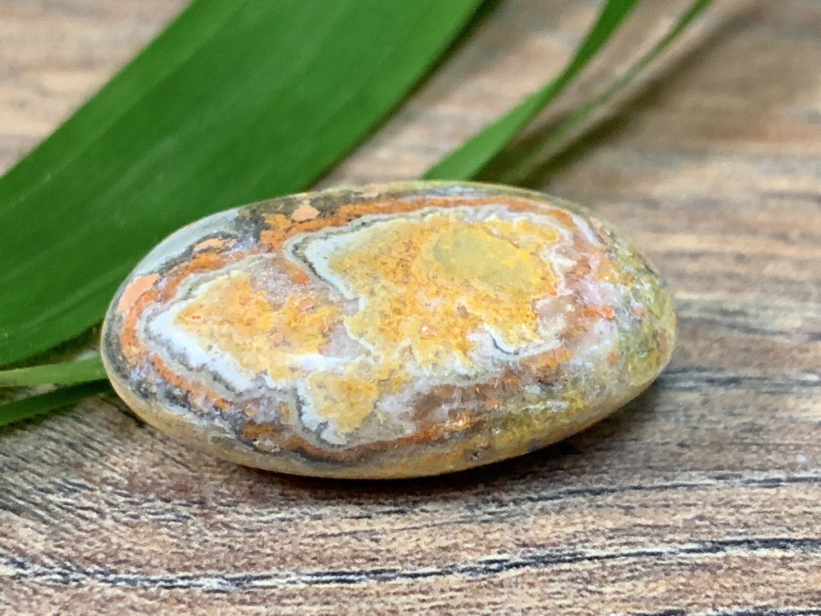 Bumble Bee Jasper Tumble Stone Gemstone Mineral Specimen Crystal Reiki Chakra.