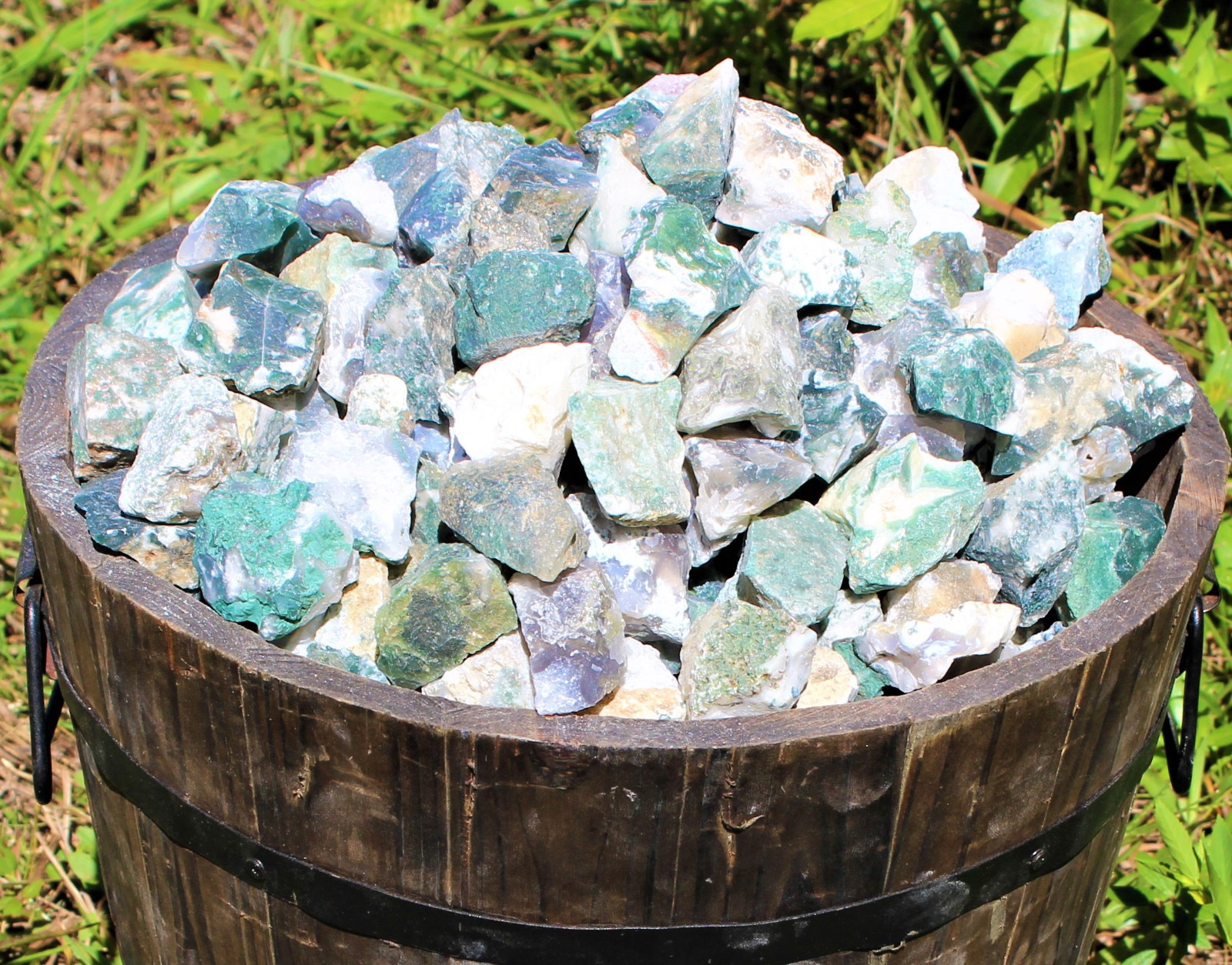 500 Carat Lot Bulk Natural Rough Tree Agate (Raw Crystal Rock Mineral 100 Grams)