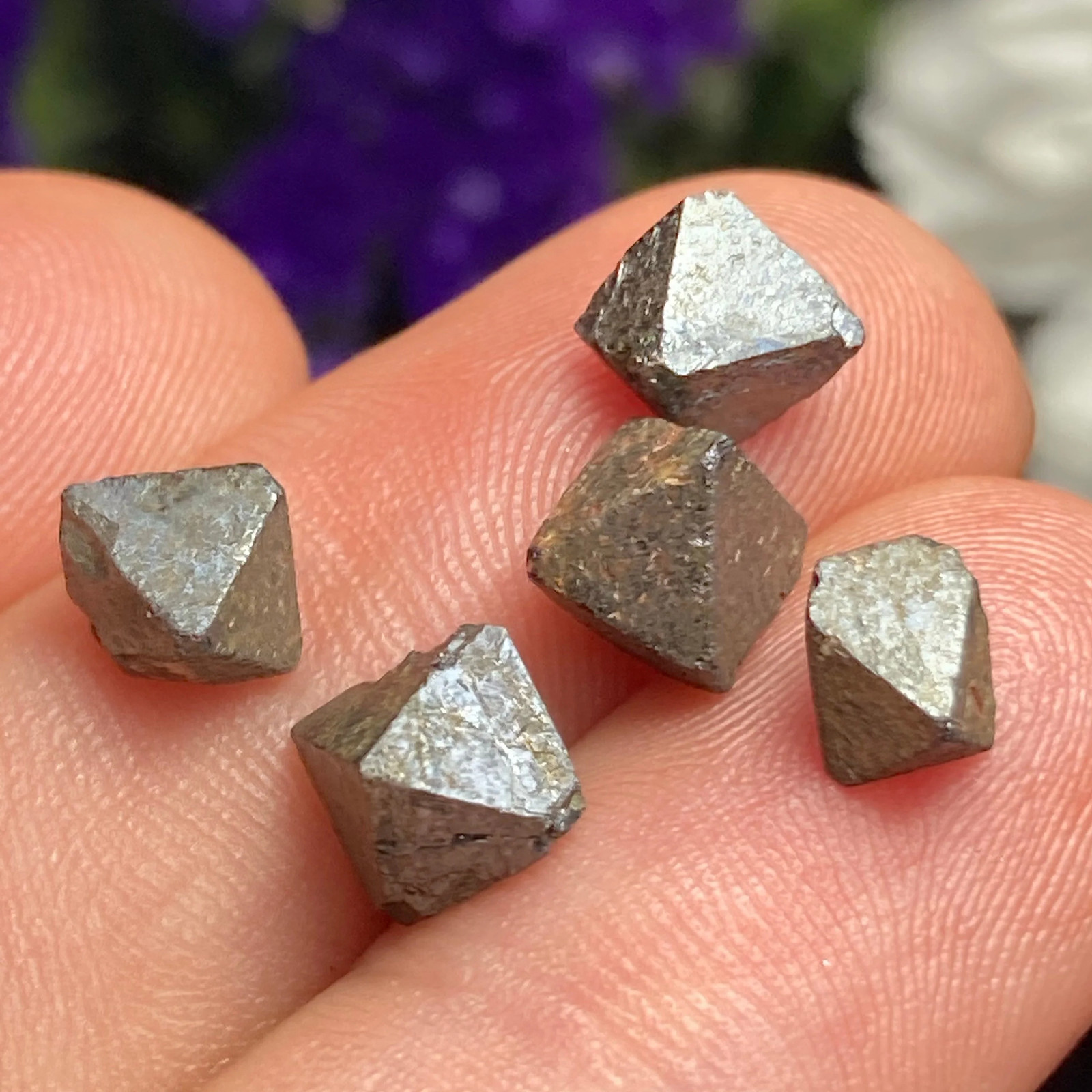 Magnetite Crystals