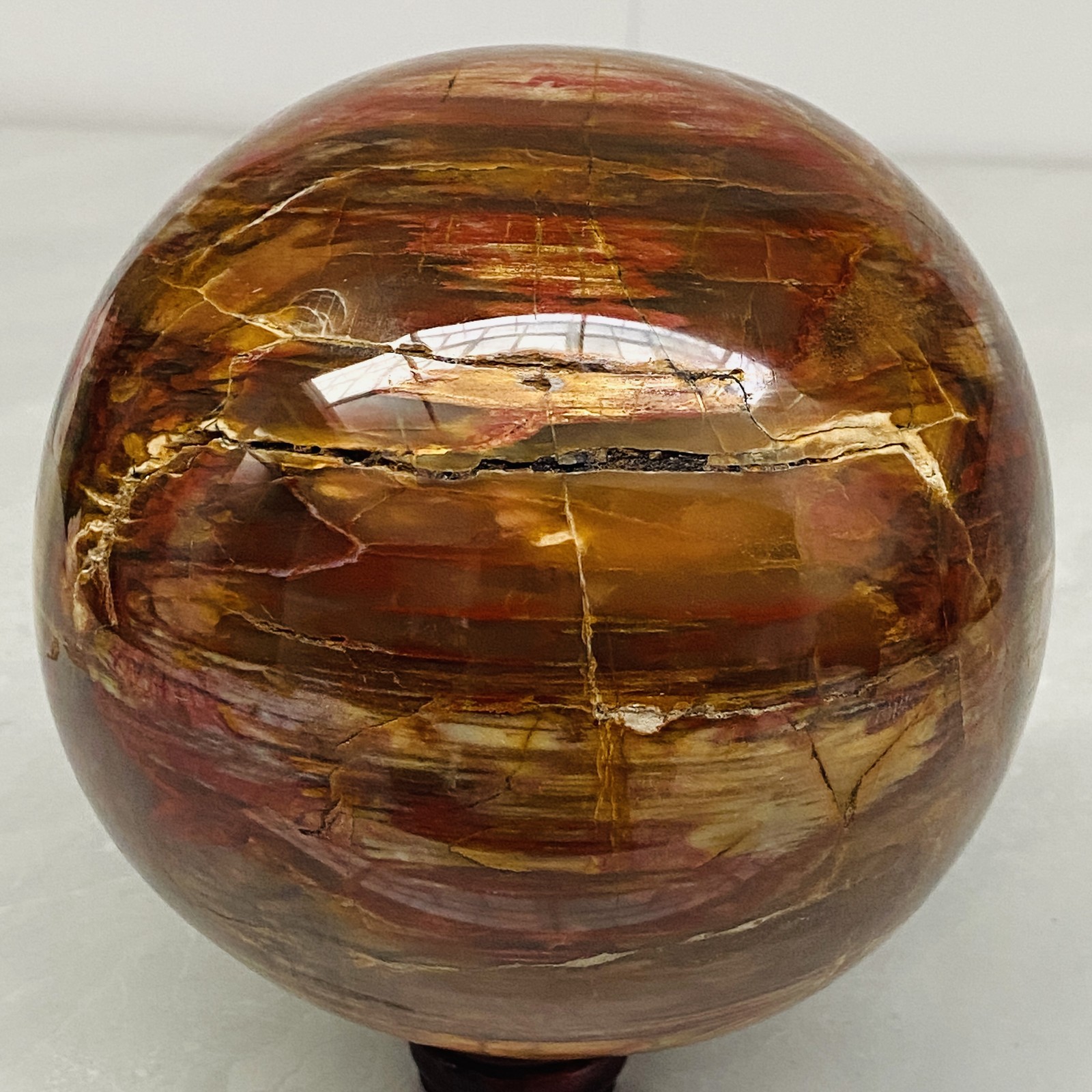 Natural Petrified Wood Polished Stone Quartz Crystal Sphere Ball Healing 4140G