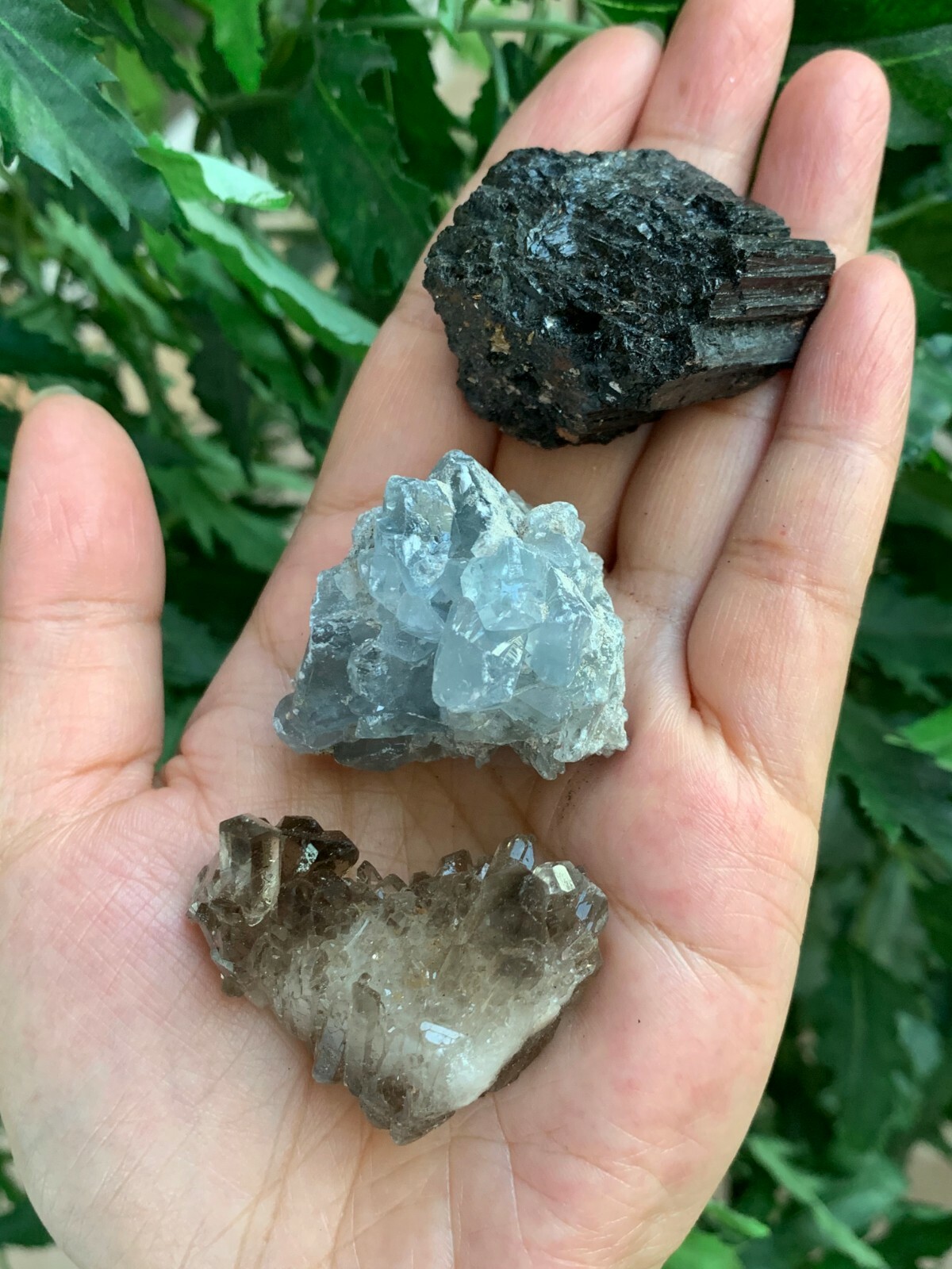 3 Piece Lot, Celestite Cluster, Smoky Quartz Cluster & Black Tourmaline Log