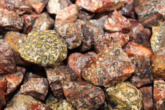 Leopard Skin Jasper – Rough Rocks for Tumbling – Bulk Wholesale options