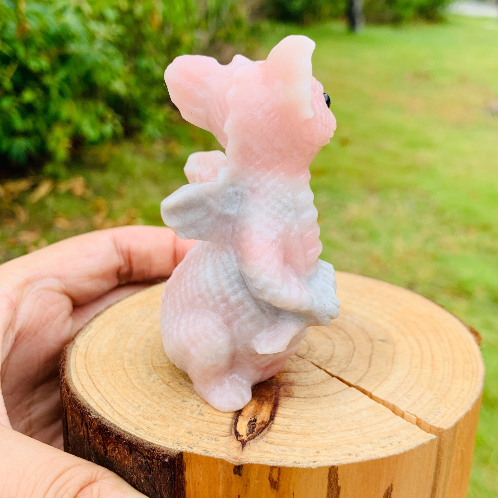 Natural pink opal Carved pterosaur Quartz Crystal Reiki Healing Gift random del