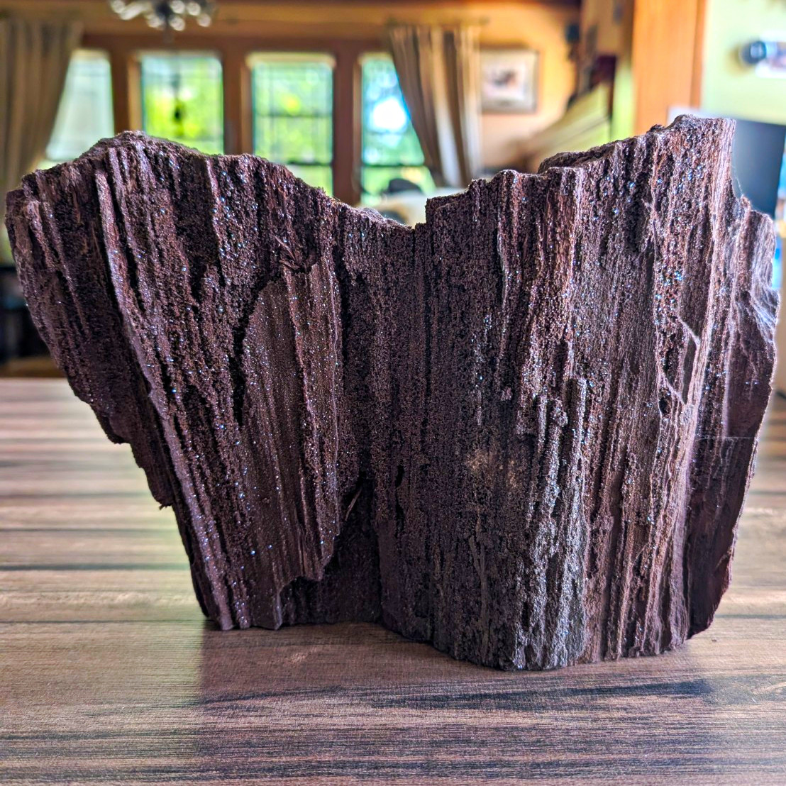 Large German Permineralized Petrified Wood Specimen with Druzy Quartz – 5.08 lb