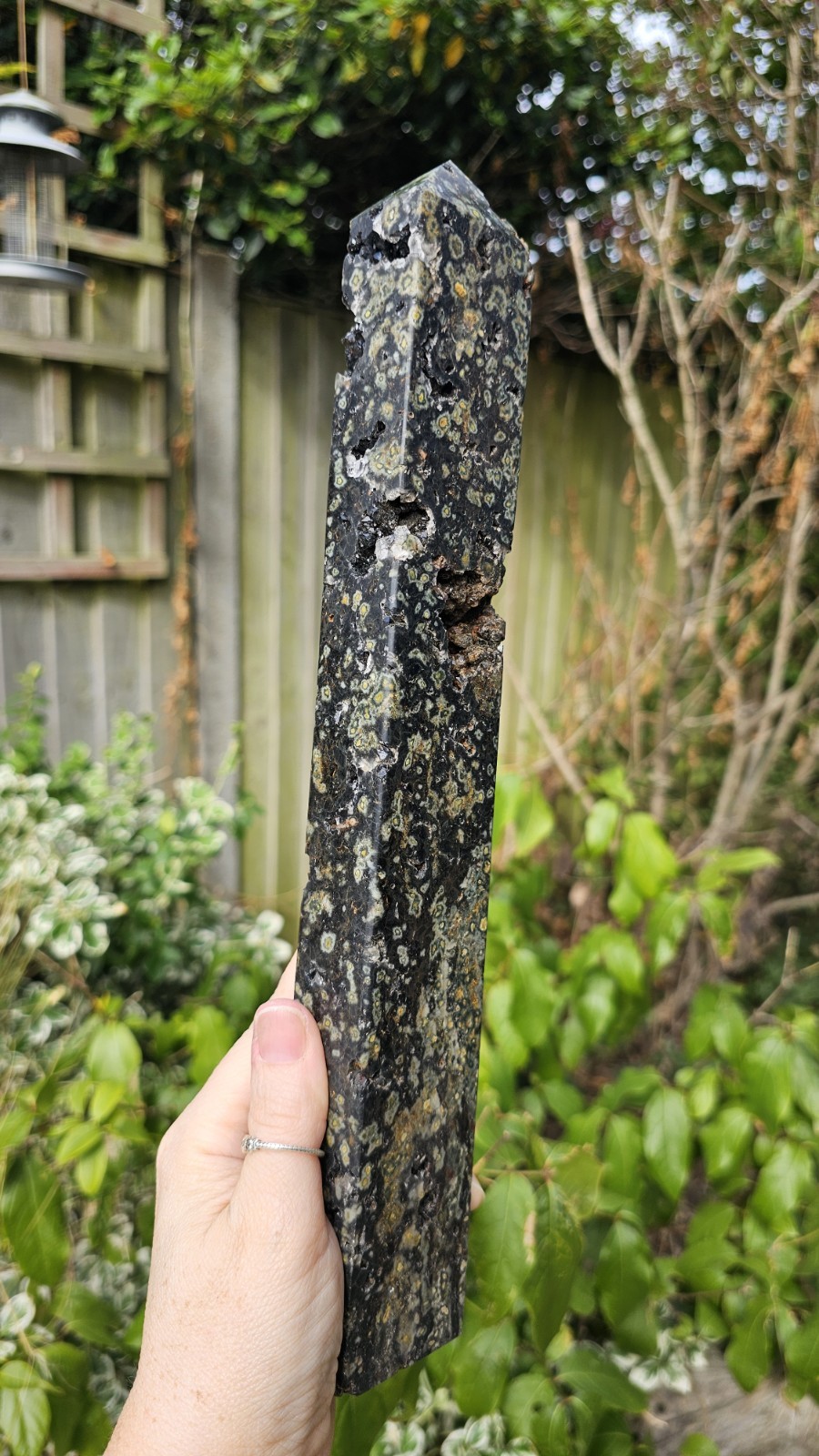 Large Rainforest Jasper Rhyolite tower Point Stone crystal Calming 1.02kg 31cm