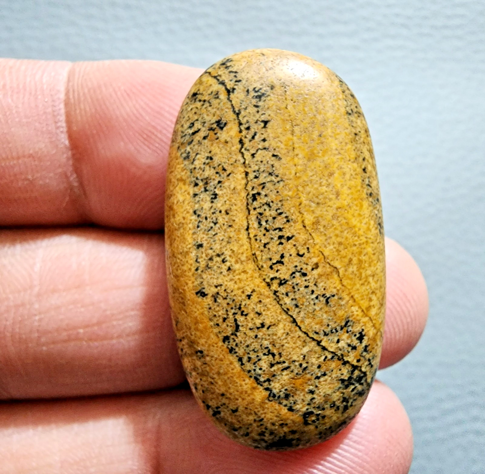 Unique Natural 41.60ct Picture Jasper Oval Cabochon – Gemstone Collector Stone